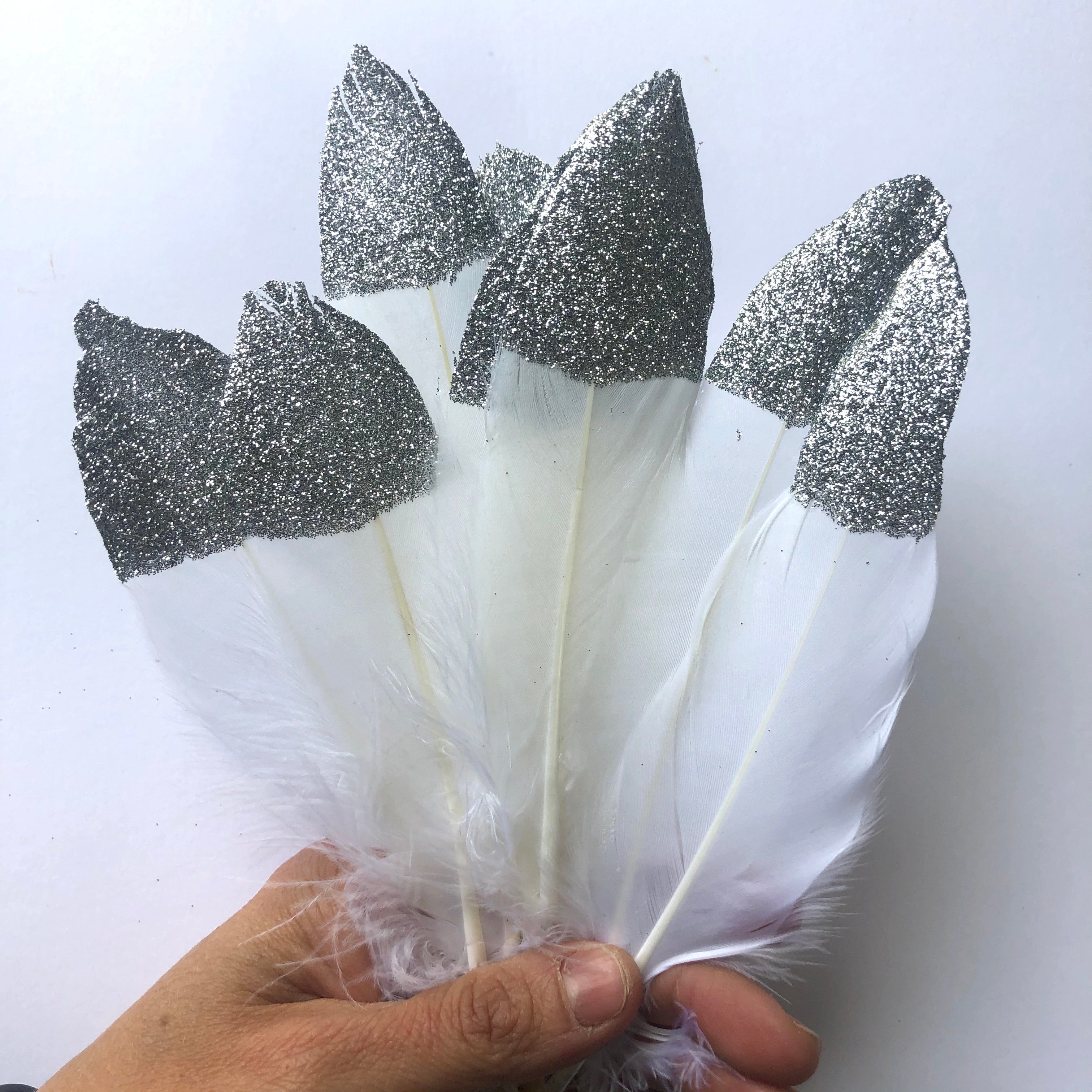 Goose Pointer Feather Glitter Tipped x 10 pcs - White with Silver - Style 28