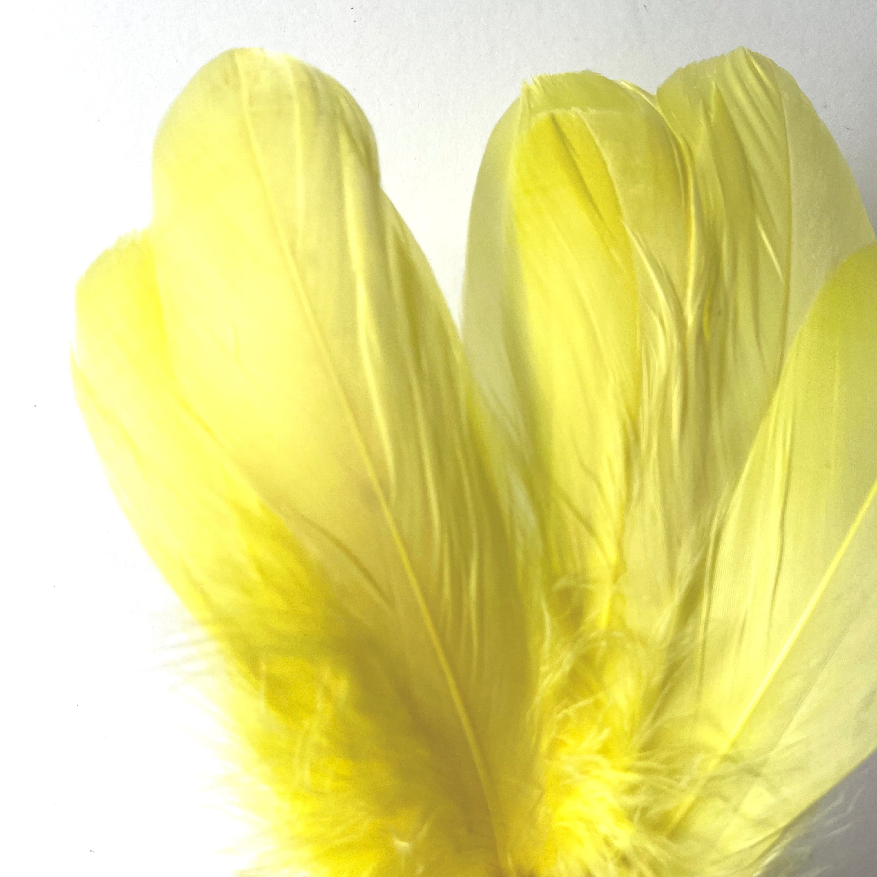 Goose Nagoire Feathers 10 grams - Soft Yellow