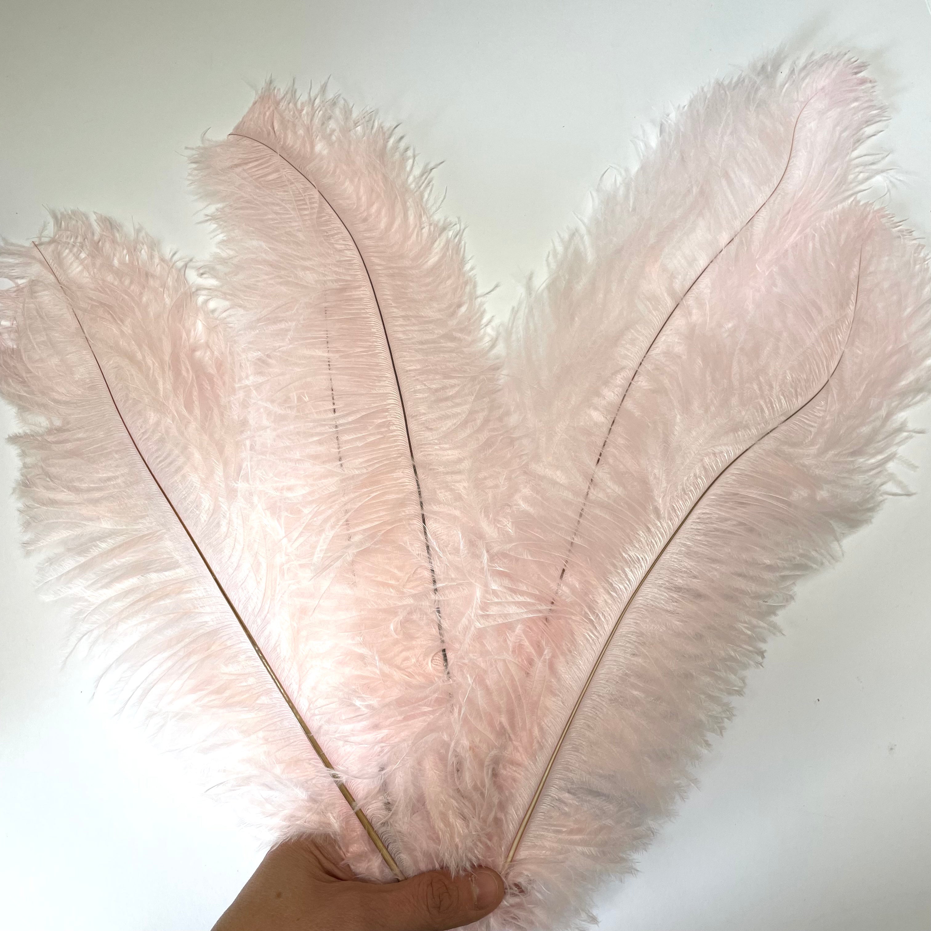 Ostrich Blondine Feather 25-40cm x 5 pcs - Pink ((SECONDS))
