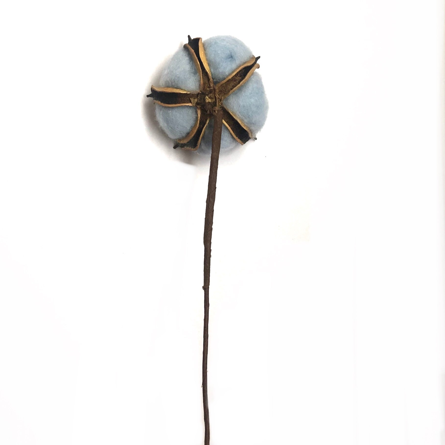 Artificial Natural Dried Cotton Flower Stem - Blue 60cm Long