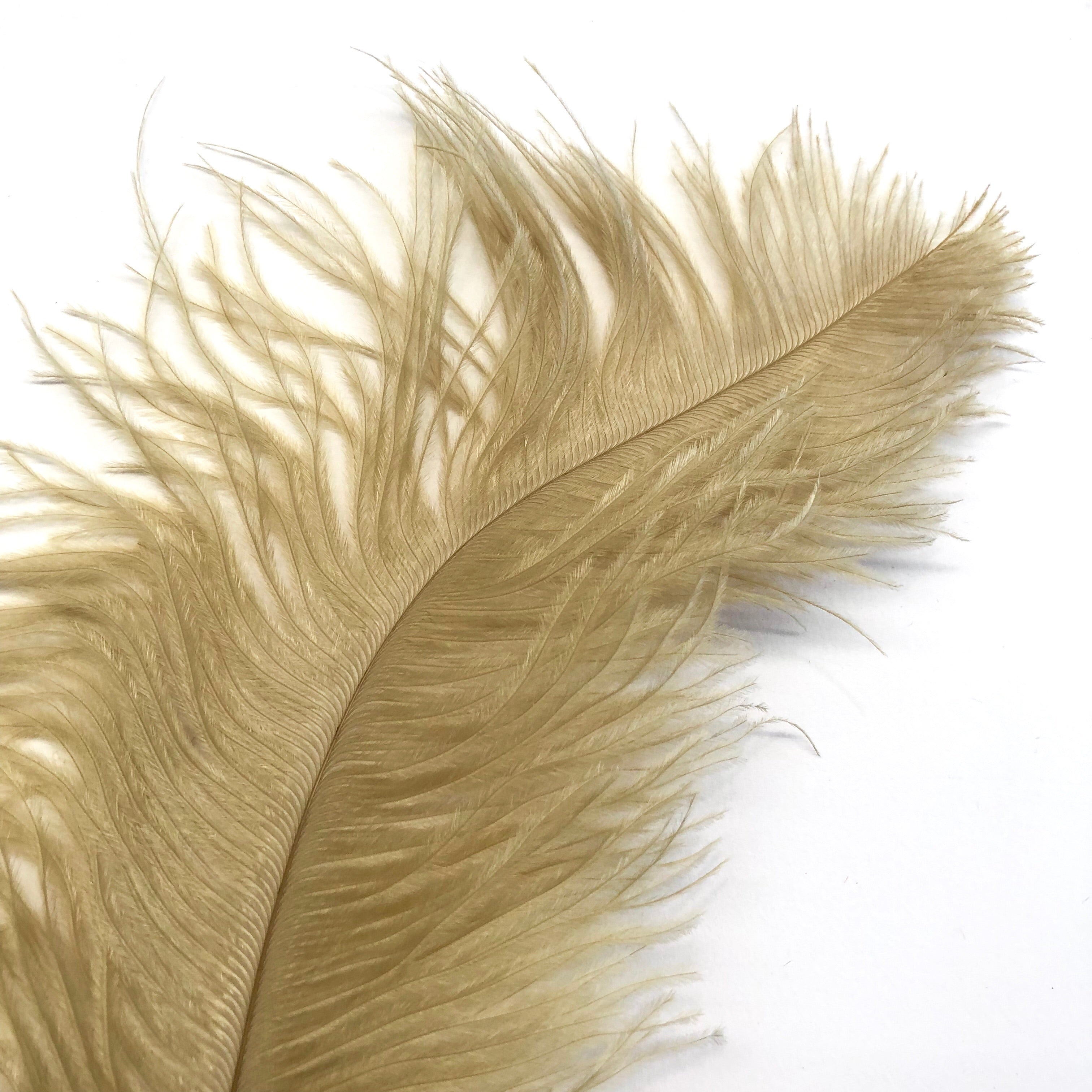 Ostrich Blondine Feather 25-40cm x 5 pcs - Gold ((SECONDS))
