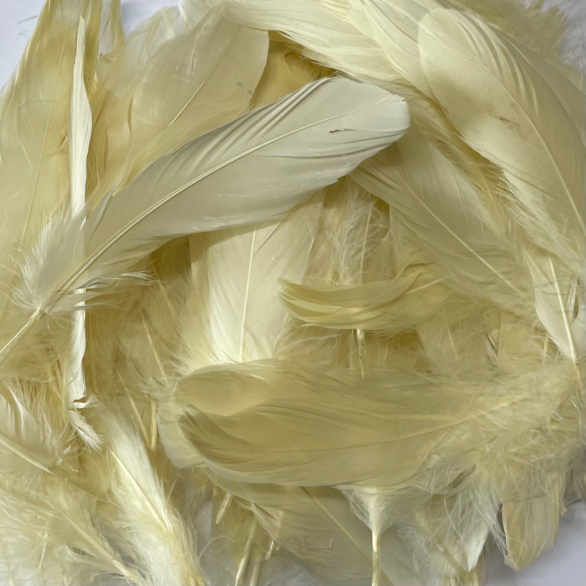 Goose Nagoire Feathers 10 grams - Cream ((SECONDS))