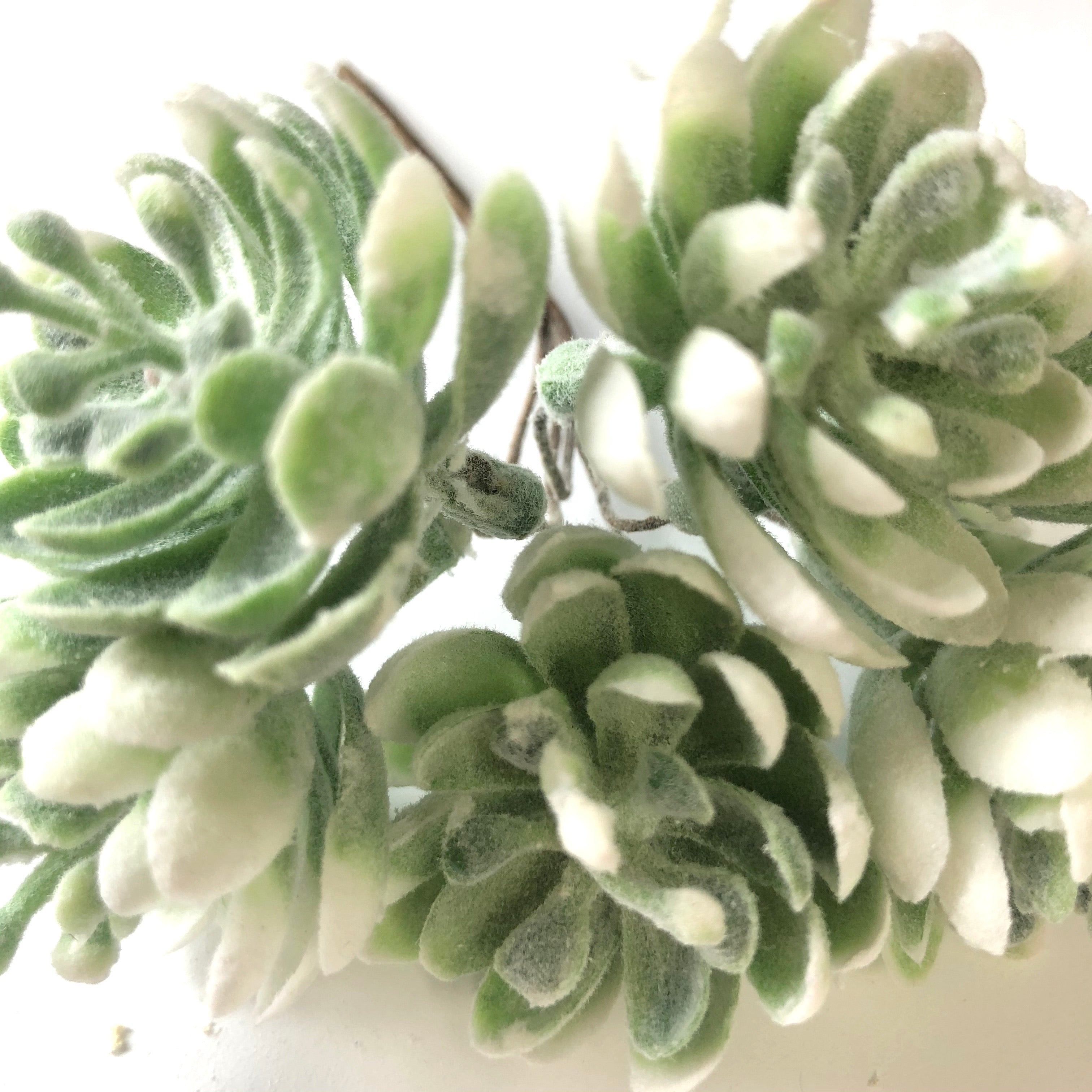 Artificial Succulent Wired Pick - Green (Style 3)