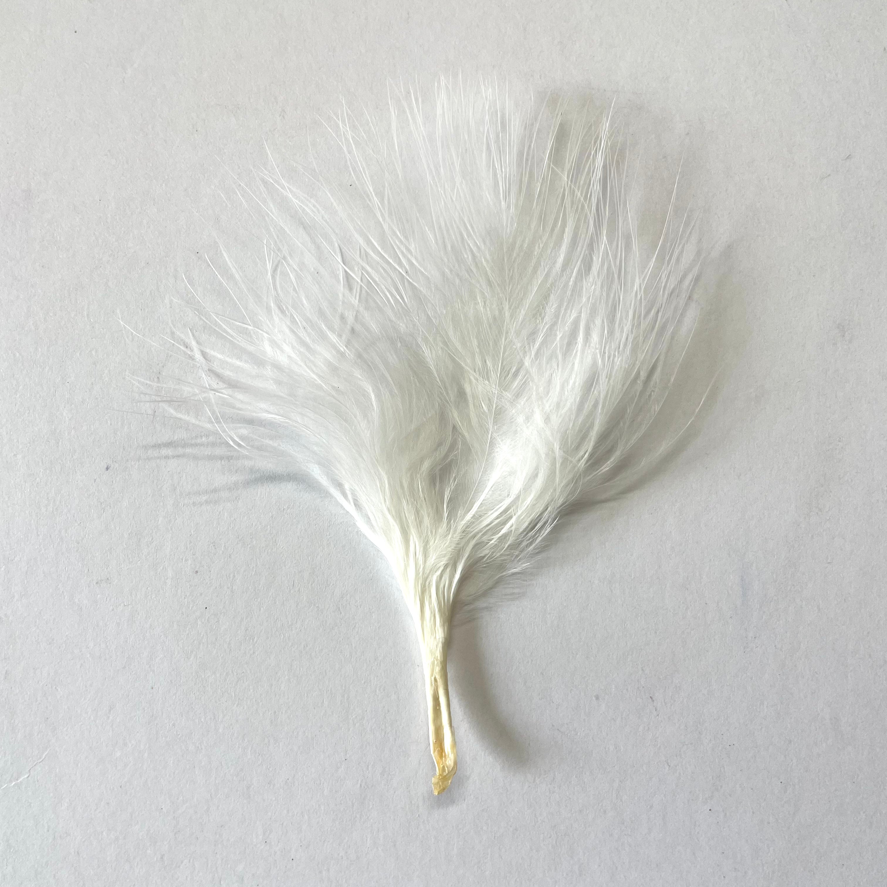 Itty Bitty Marabou Feather Plumage Pack 10 grams - White