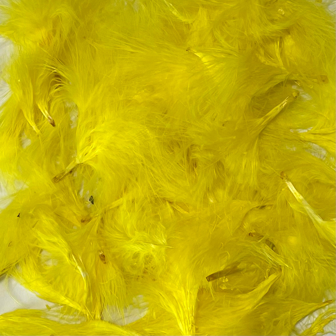 Itty Bitty Marabou Feather Plumage Pack 10 grams - Yellow
