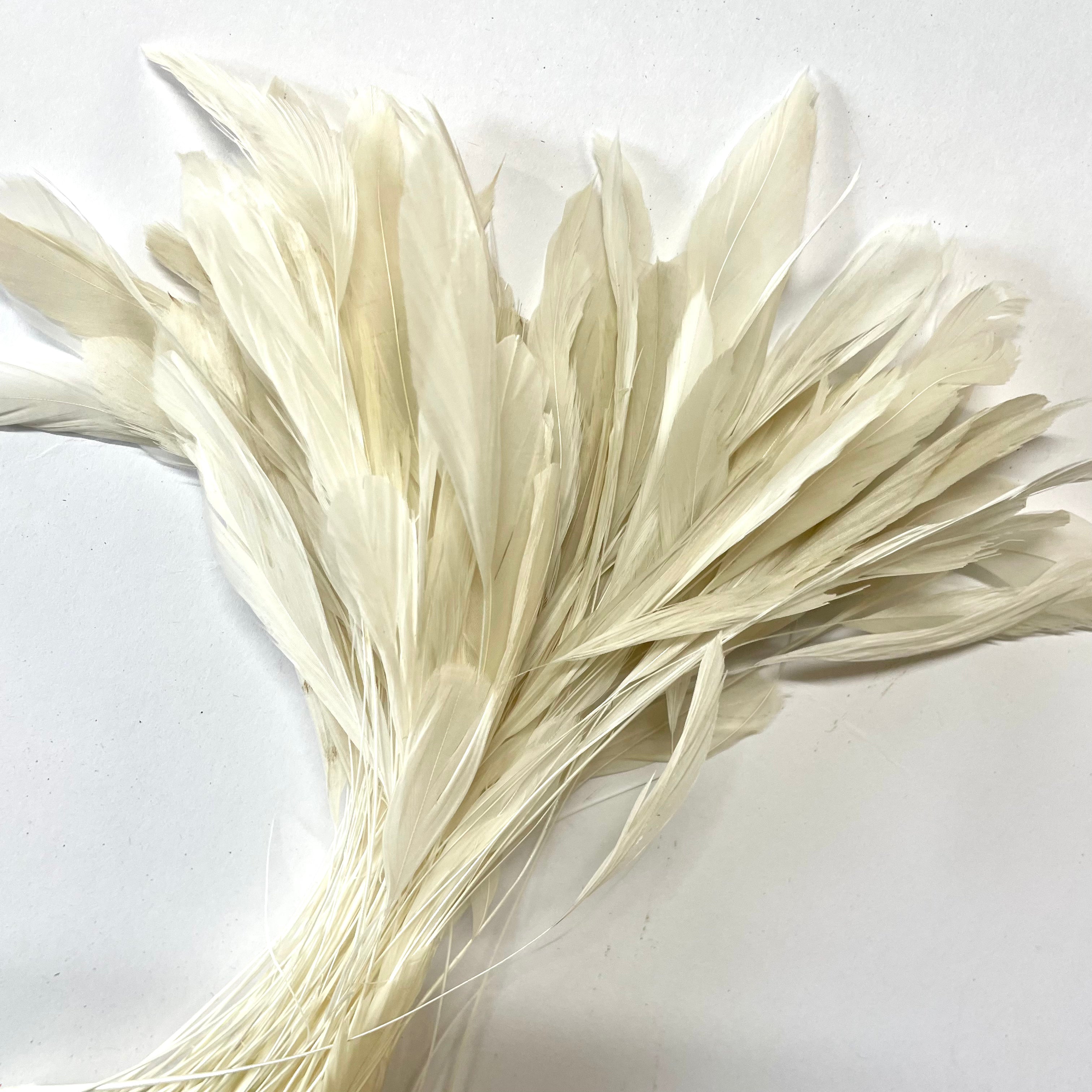Stripped Coque Tail Feathers 10 grams - Ivory