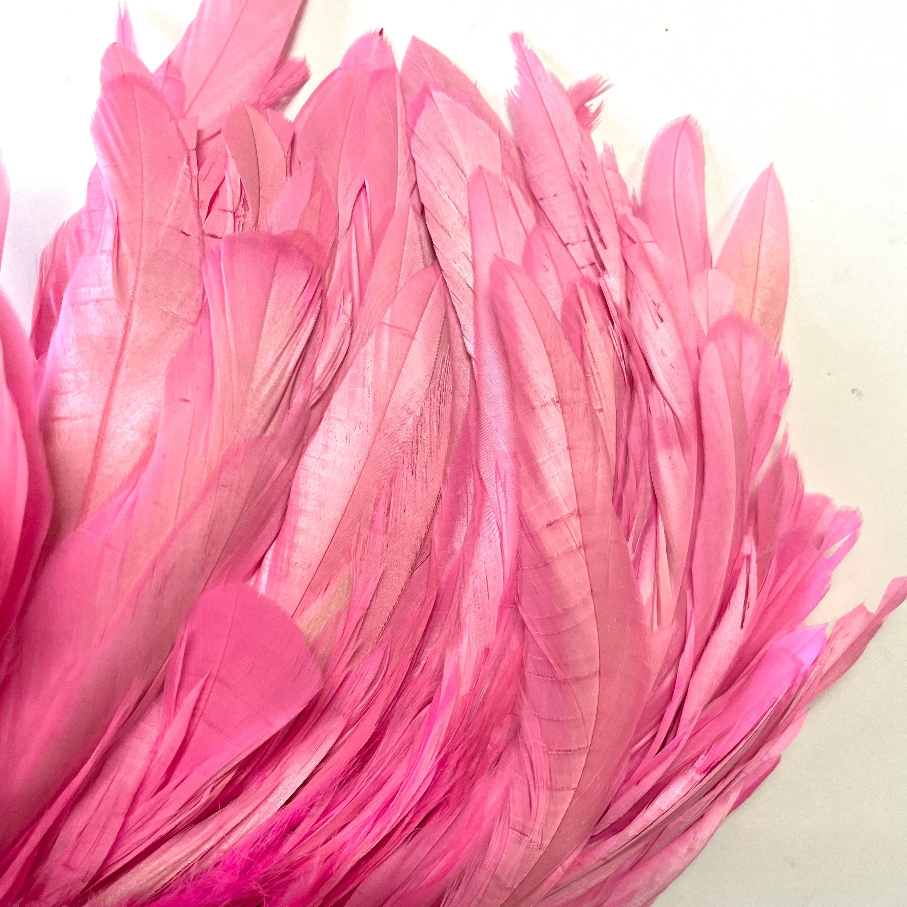 Coque Tail Feathers 8-10" 240mm - 10 grams - Hot Pink