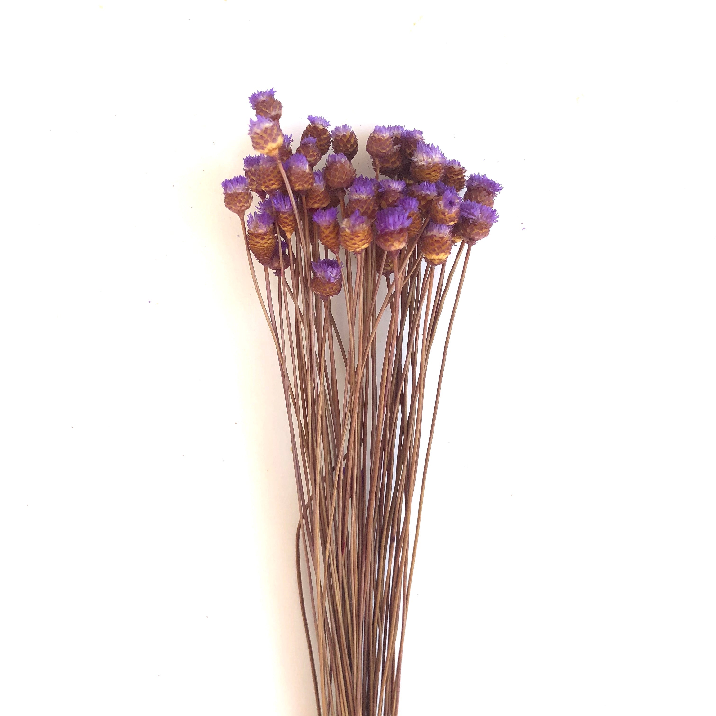 Natural Dry Mini Happy Flower Stems - Purple
