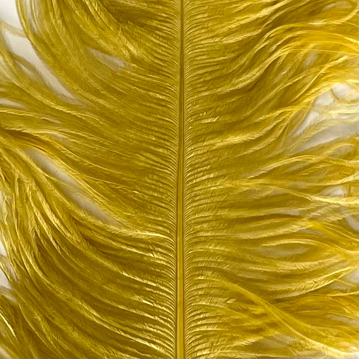 Ostrich Wing Feather Plumes 60-65cm (24-26") - Bright Gold ((SECONDS))