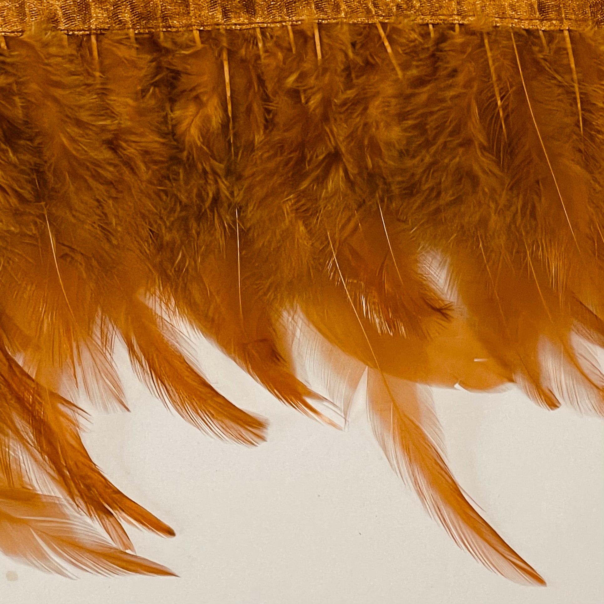 Hackle Saddle Rooster Feather RIBBON Strung per metre - Golden Brown