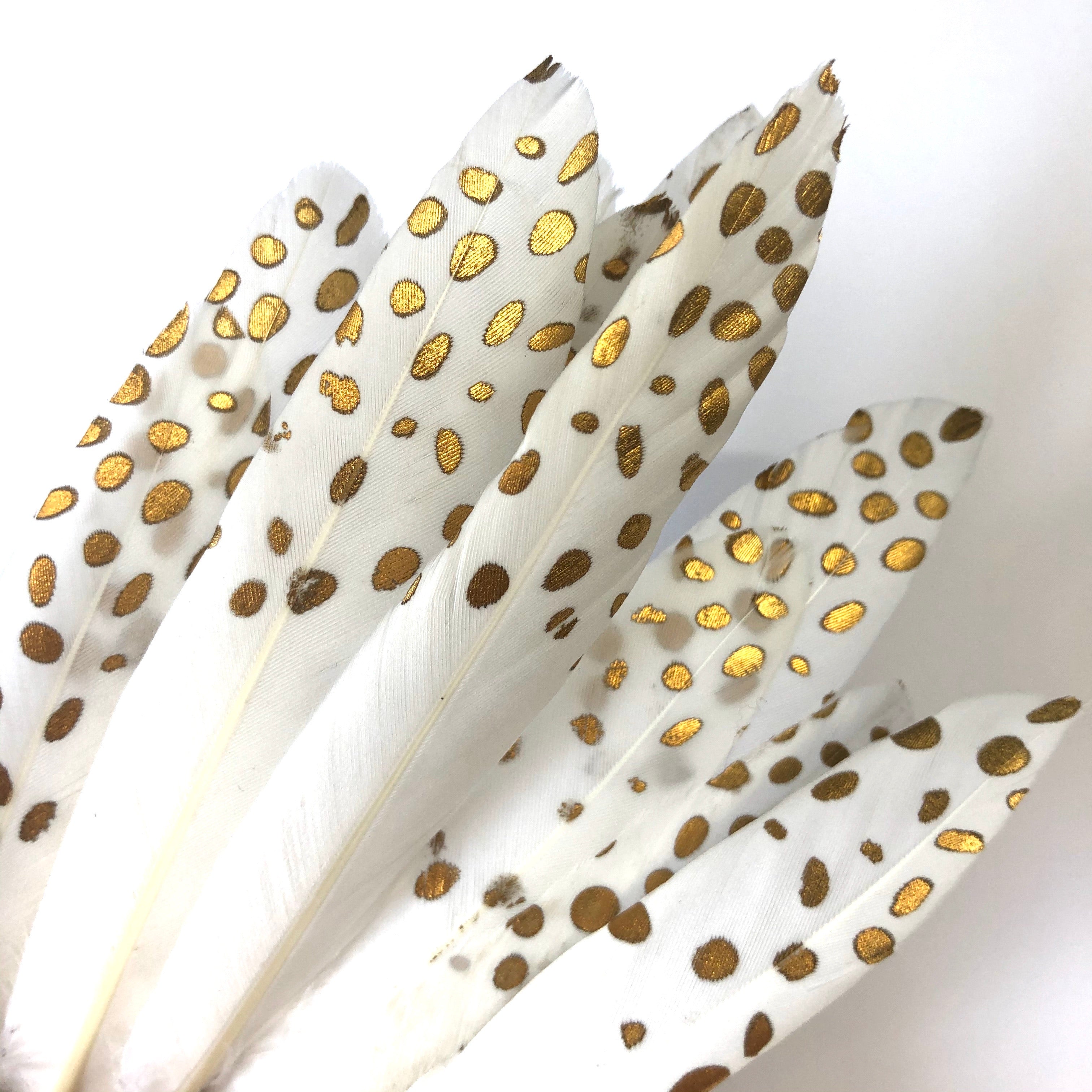 Tiny Goose Pointer Printed White Feather Art Craft - Metallic Gold Spots Style 9 x 10 pcs