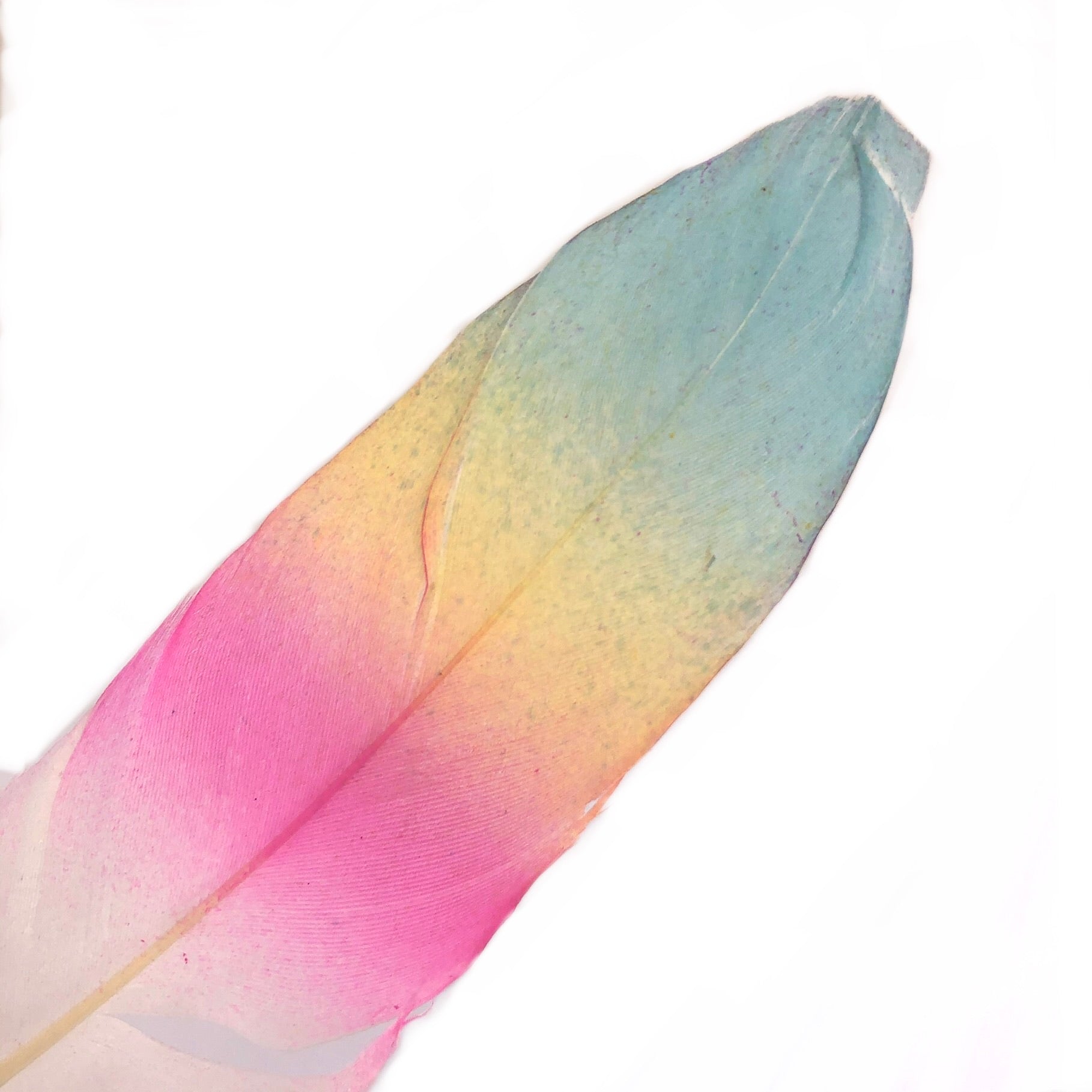 Goose Pointer Printed White Feather Art Craft - Ombre Rainbow Style 13 x 10 pcs