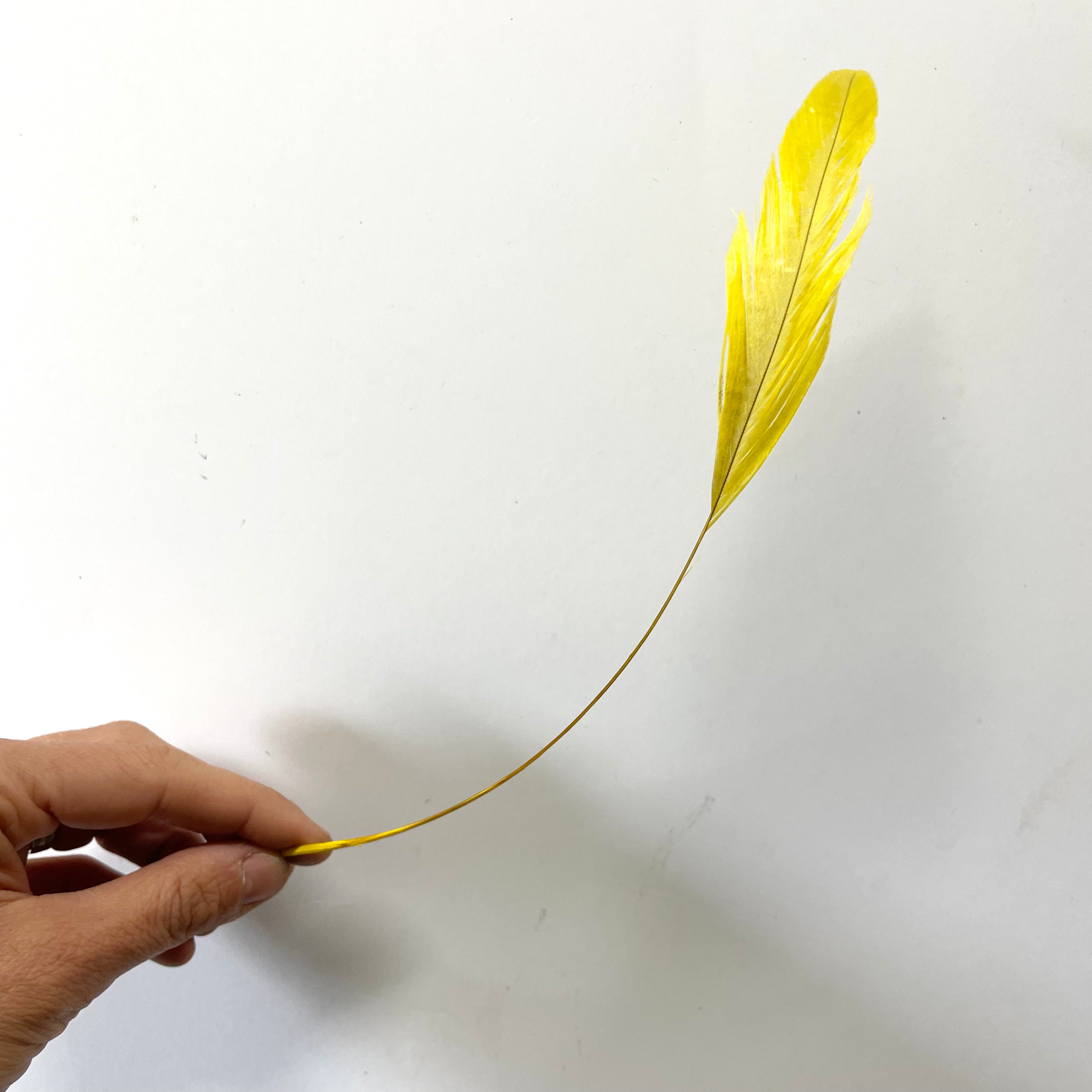 Stripped Coque Tail Feathers 10 grams - Yellow
