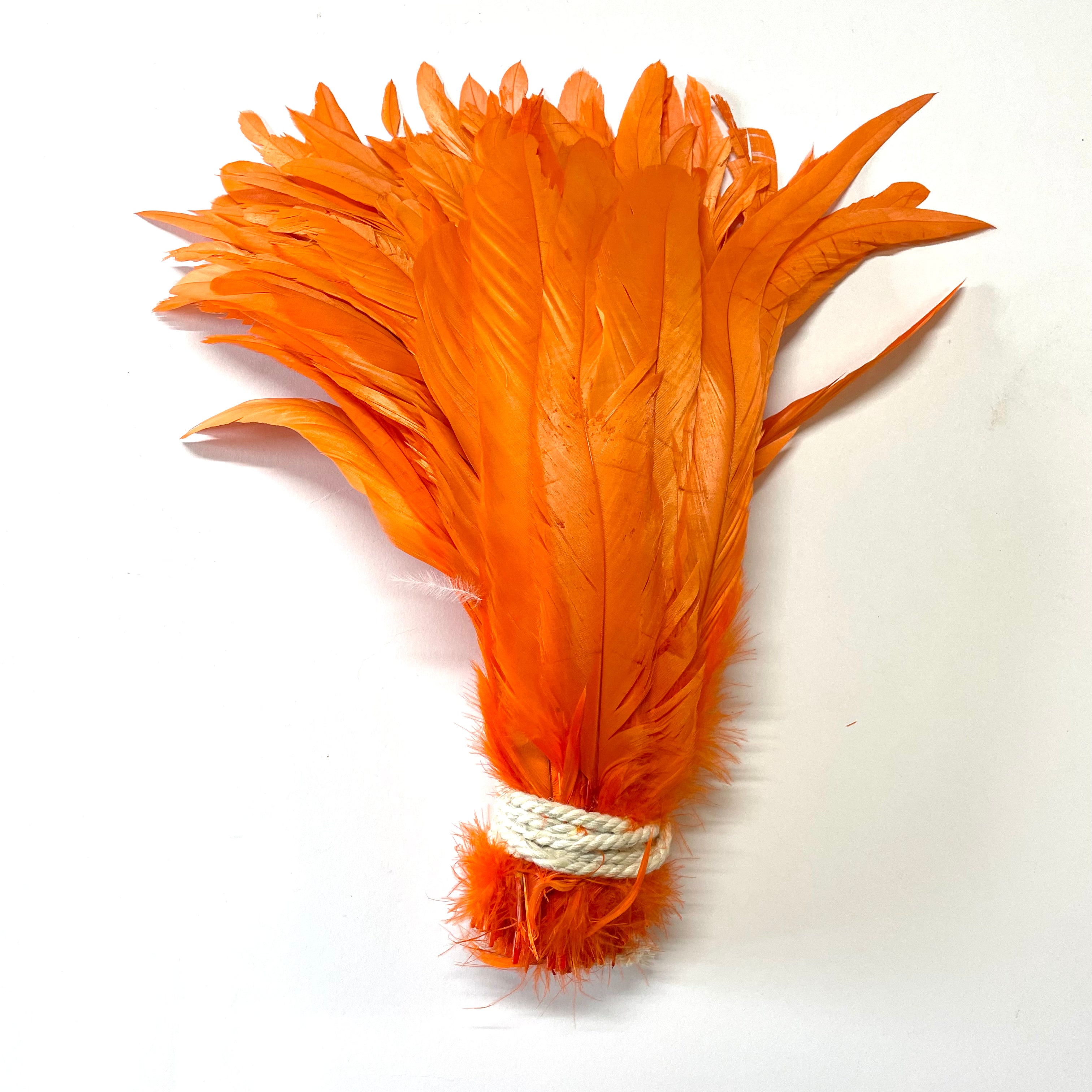 Coque Tail Feathers 8-10" 240mm - 10 grams - Orange