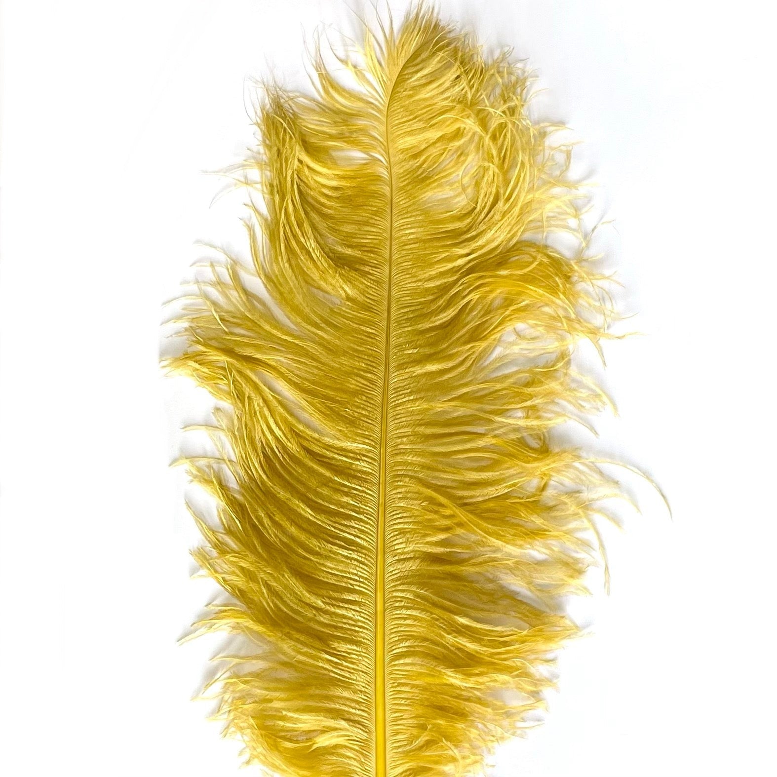 Ostrich Wing Feather Plumes 60-65cm (24-26") - Bright Gold ((SECONDS))
