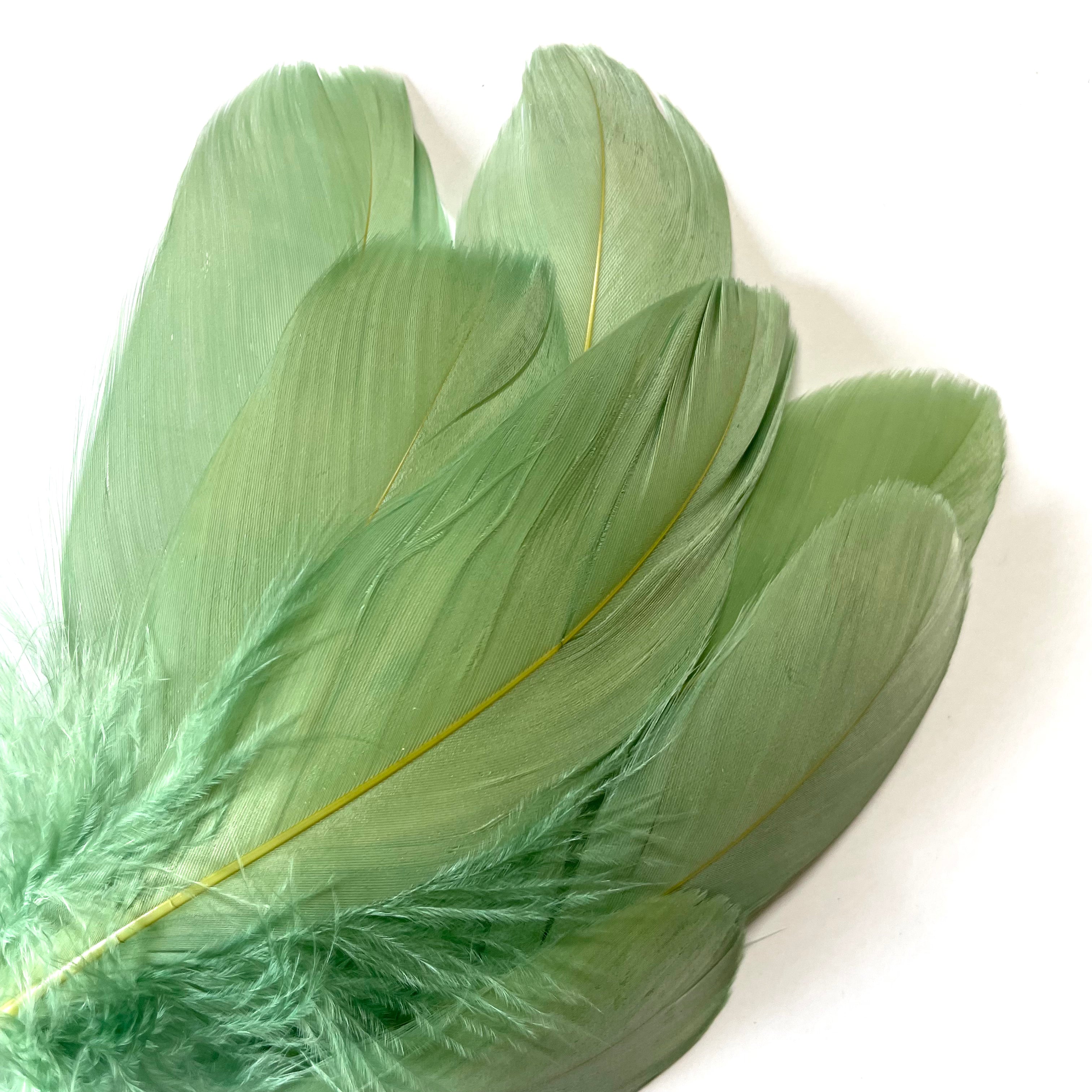 Goose Nagoire Feathers 10 grams - Sage