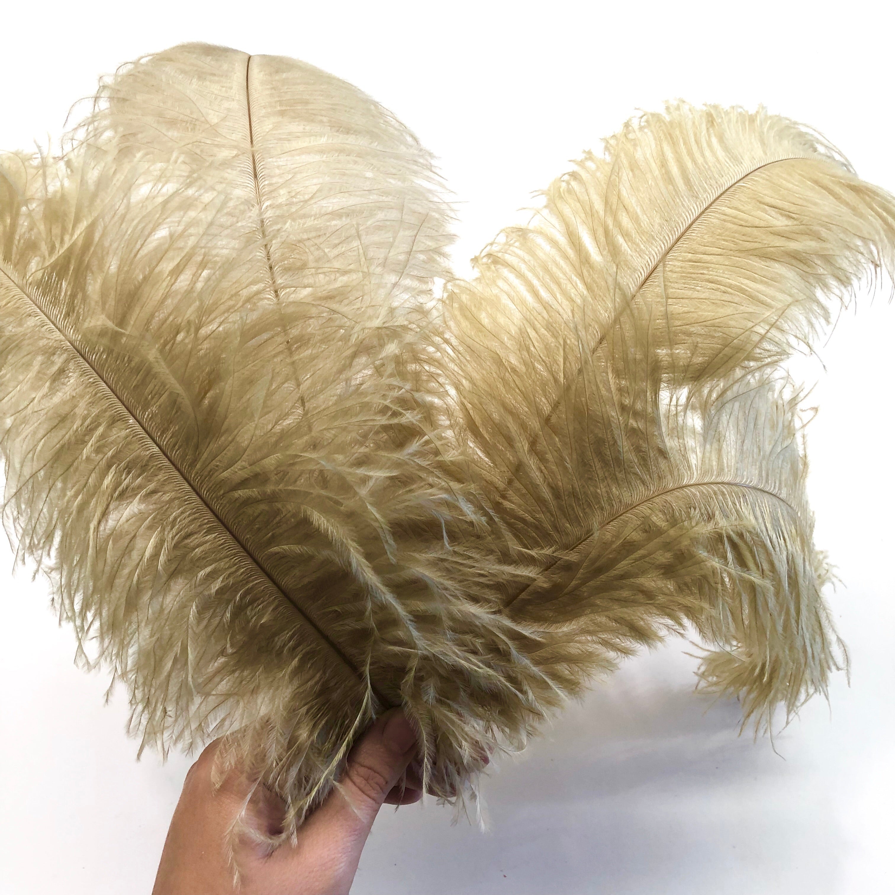 Ostrich Blondine Feather 25-40cm x 5 pcs - Gold ((SECONDS))