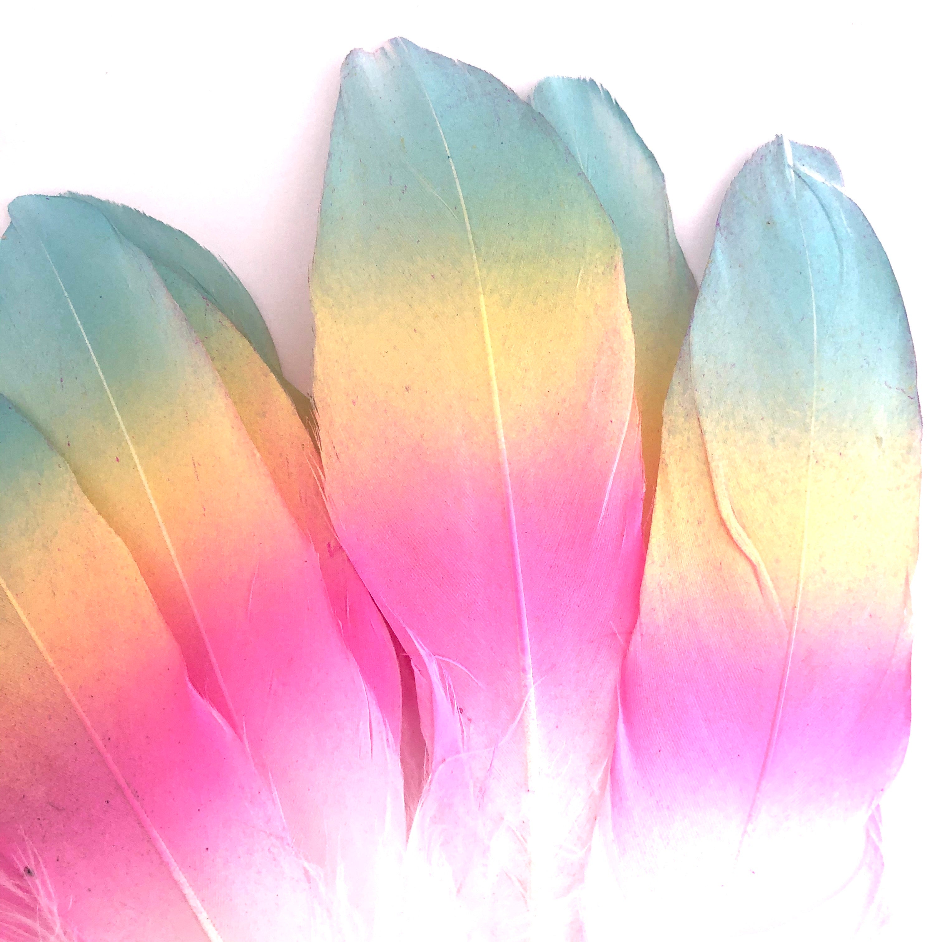 Goose Pointer Printed White Feather Art Craft - Ombre Rainbow Style 13 x 10 pcs