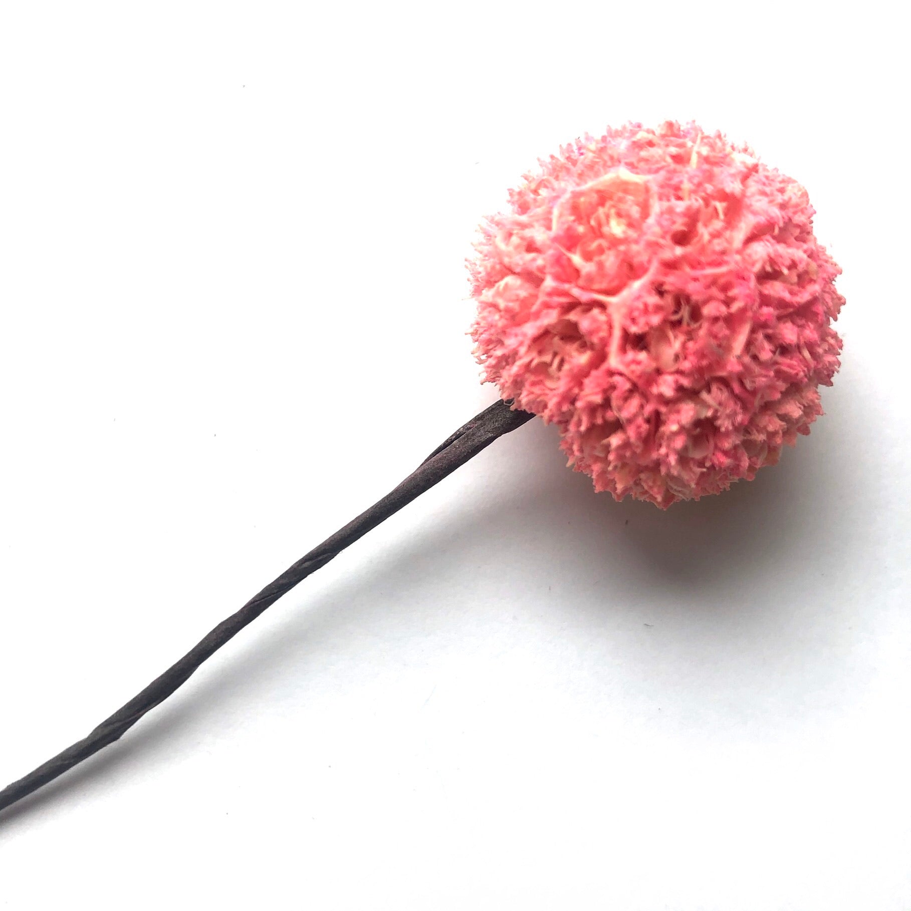 Natural Dried Mini Fruit Ball - Pink x 5pcs
