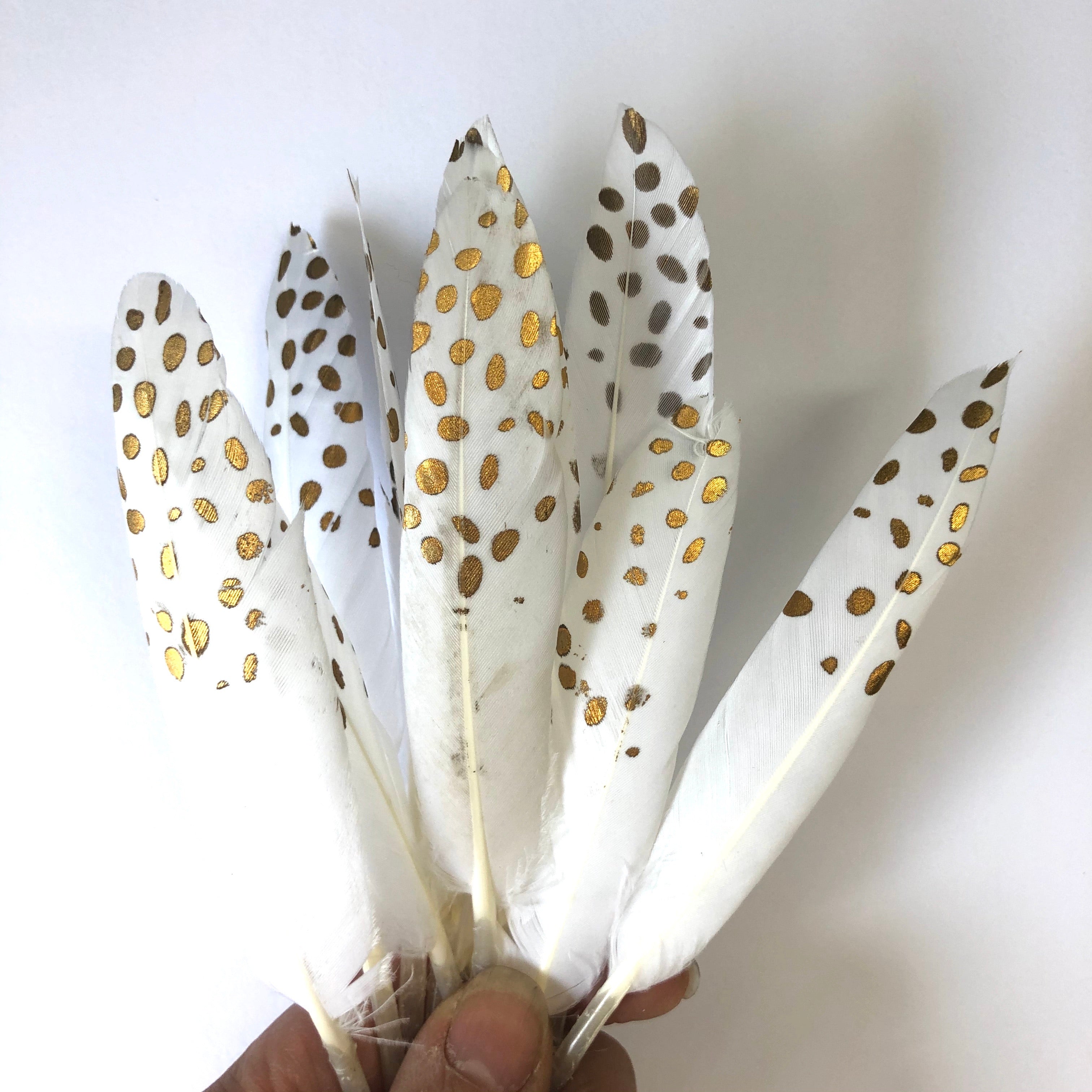 Tiny Goose Pointer Printed White Feather Art Craft - Metallic Gold Spots Style 9 x 10 pcs