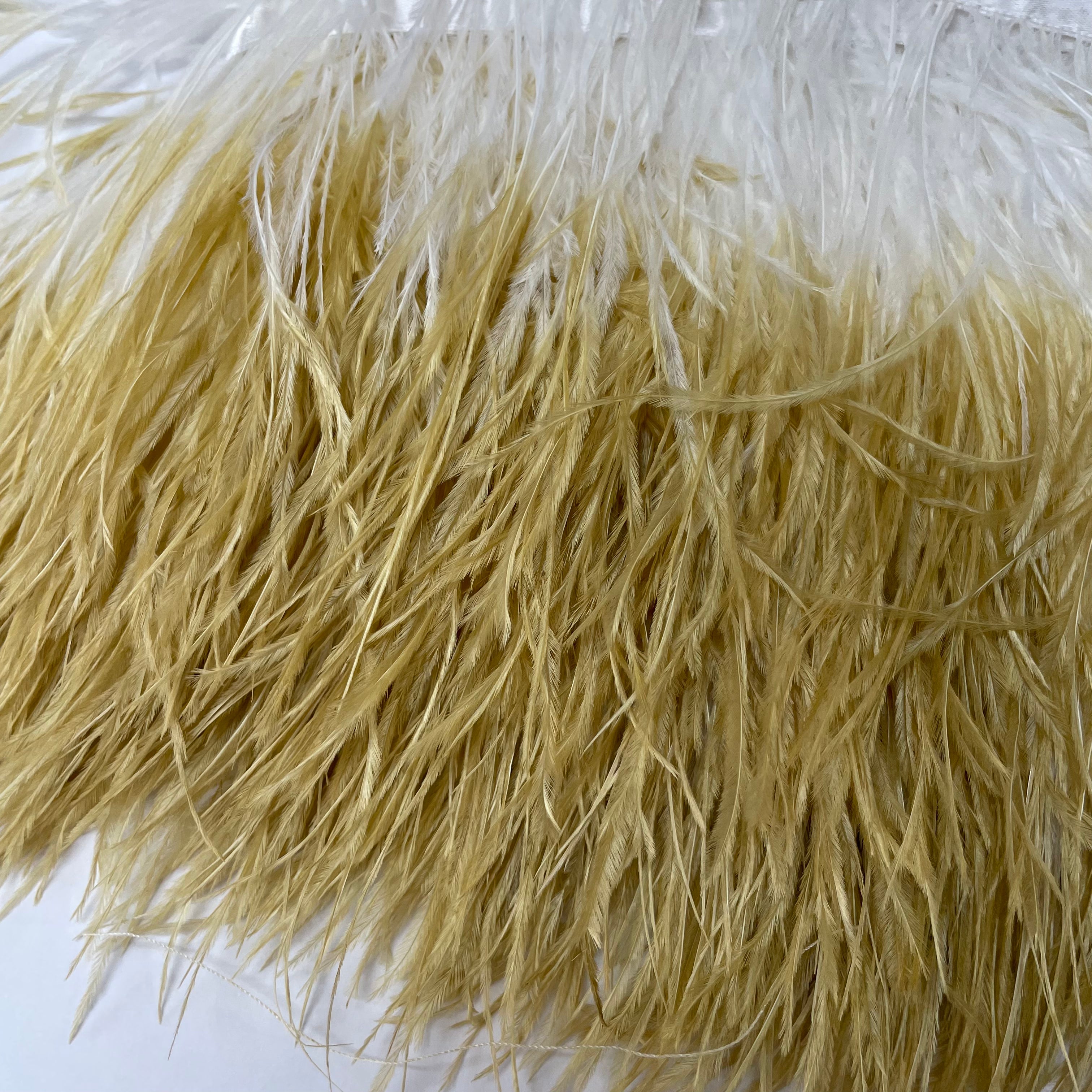 Ostrich Feathers Strung per 10cm - Two Tone White / Latte