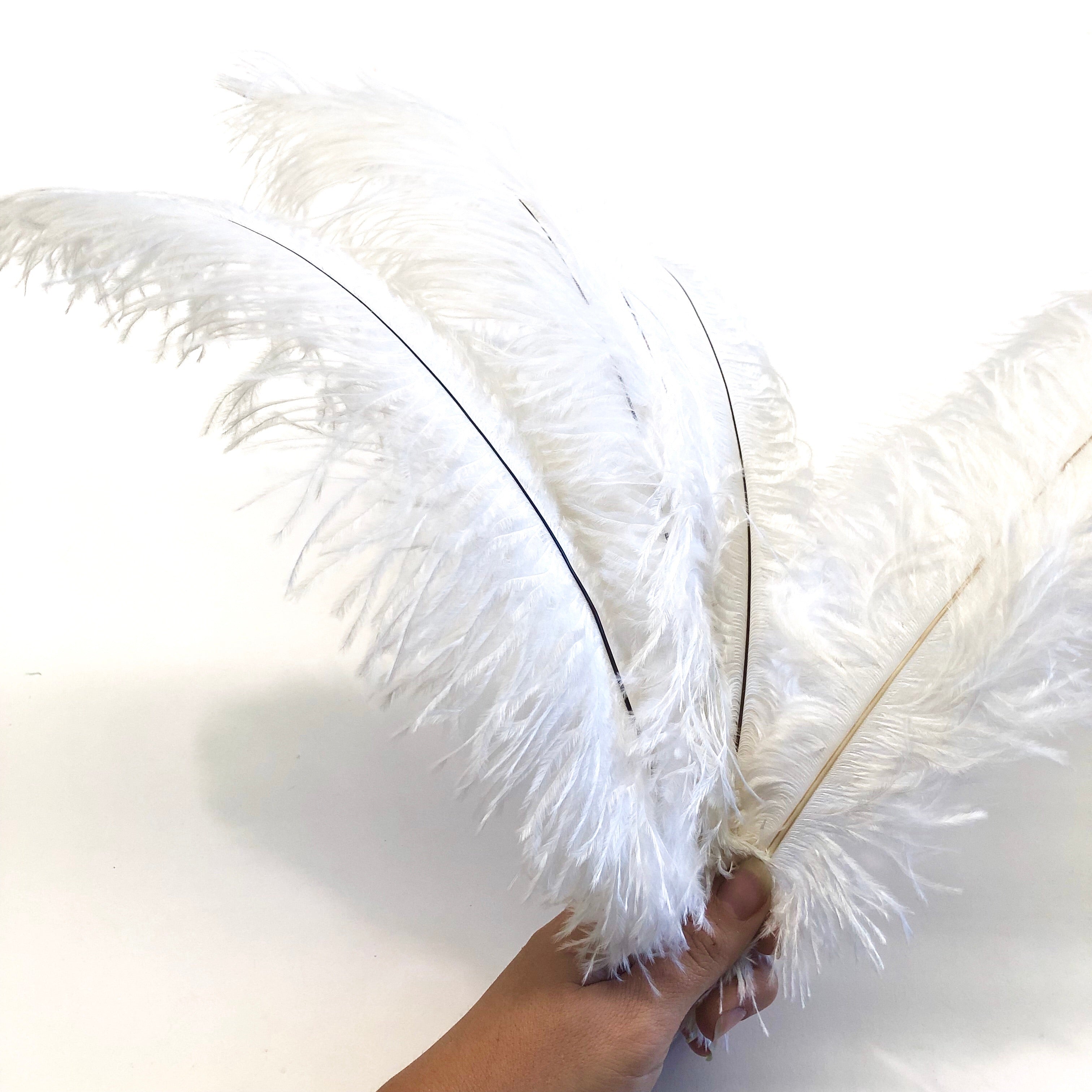 Ostrich Blondine Feather 25-40cm x 5 pcs - White ((SECONDS))