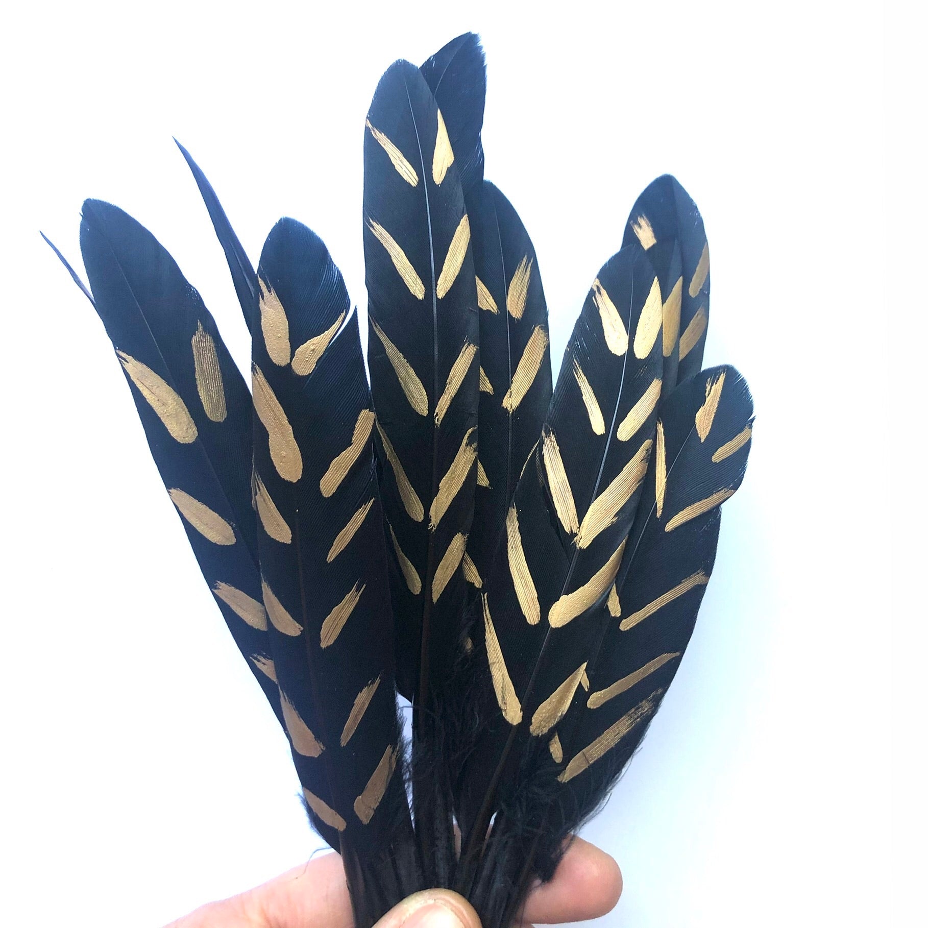 Tiny Goose Pointer Printed Black Feather Art Craft - Metallic Gold Stripe Style 7 x 10 pcs
