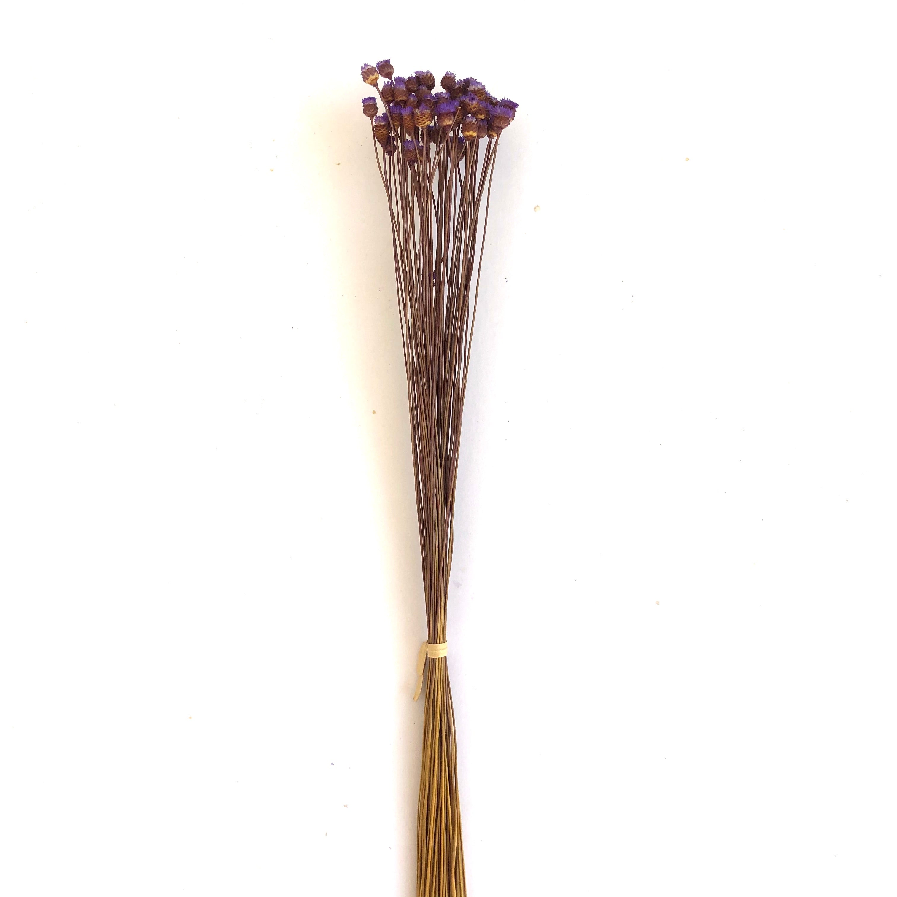 Natural Dry Mini Happy Flower Stems - Purple
