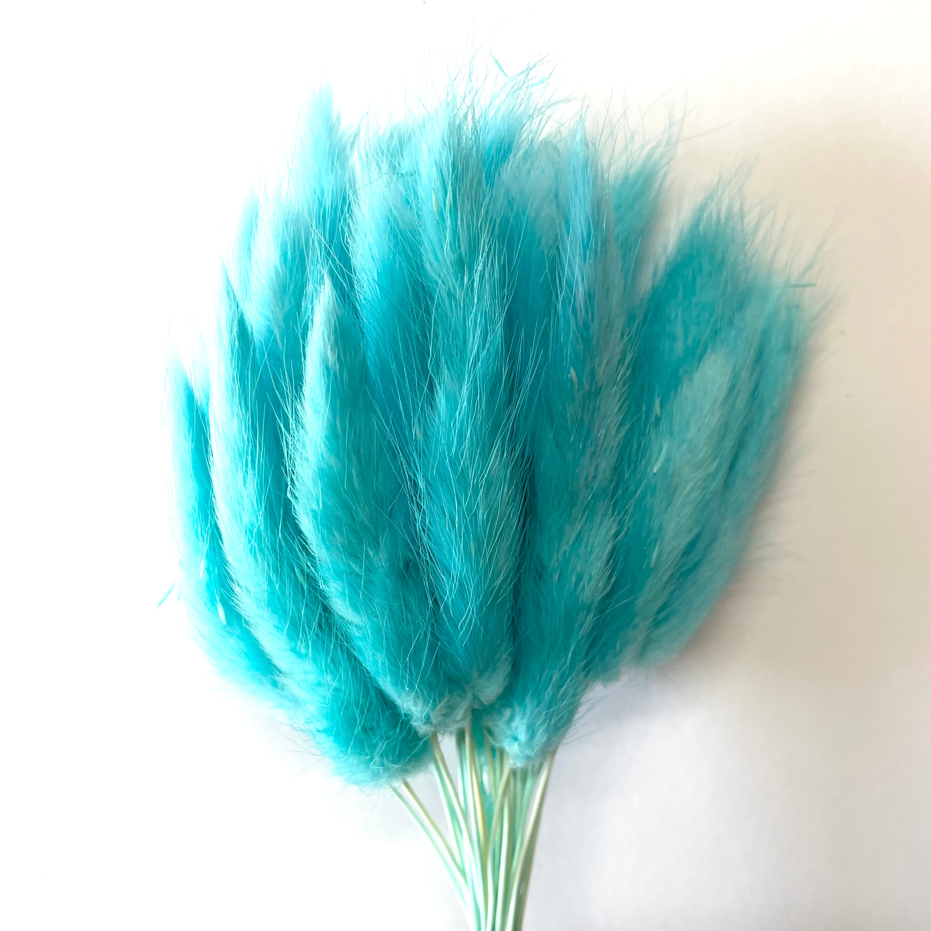 Natural Dried Rabbit Tail Grass Flower Stem Bunch - Aqua Blue