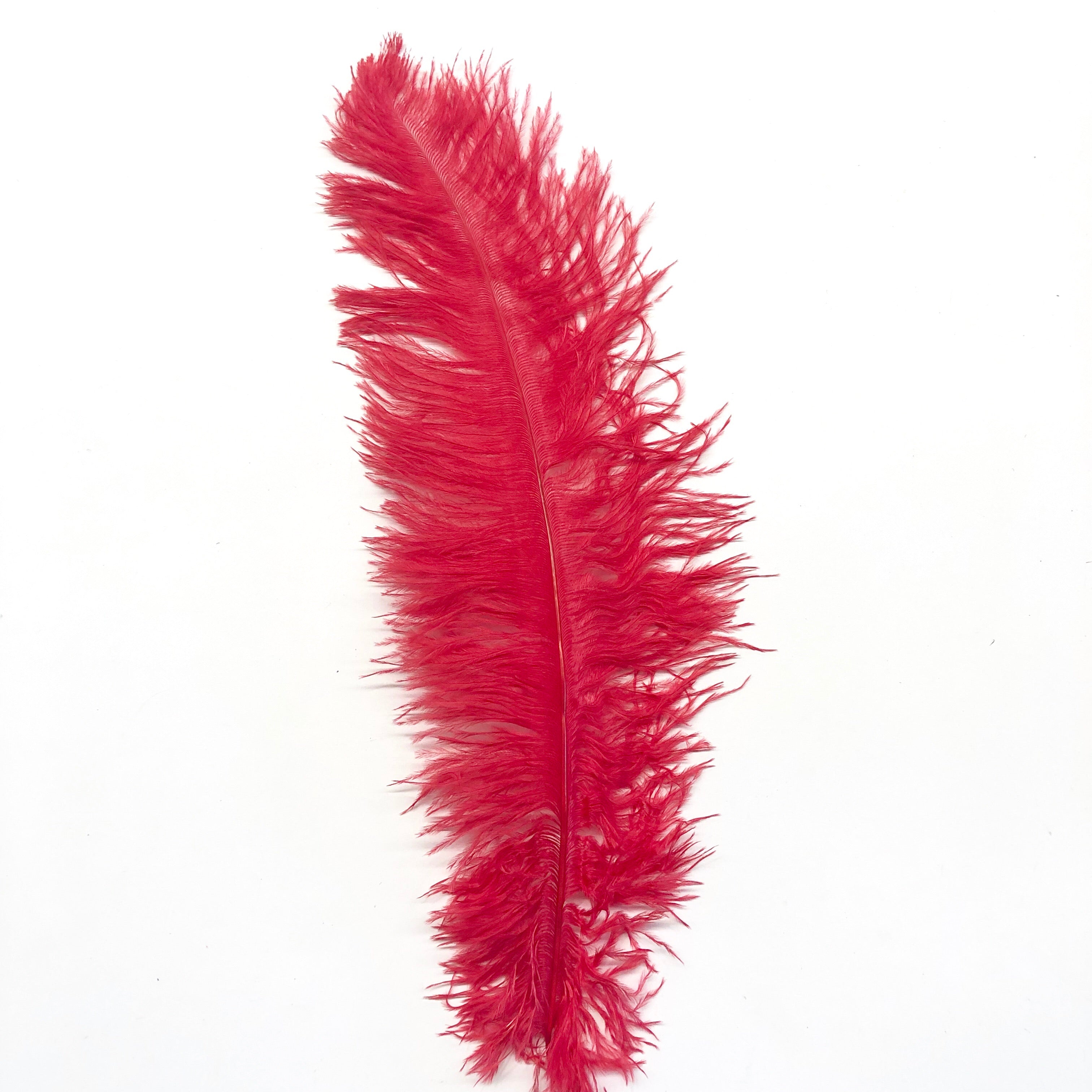 Ostrich Blondine Feather 25-40cm x 5 pcs - Red ((SECONDS))