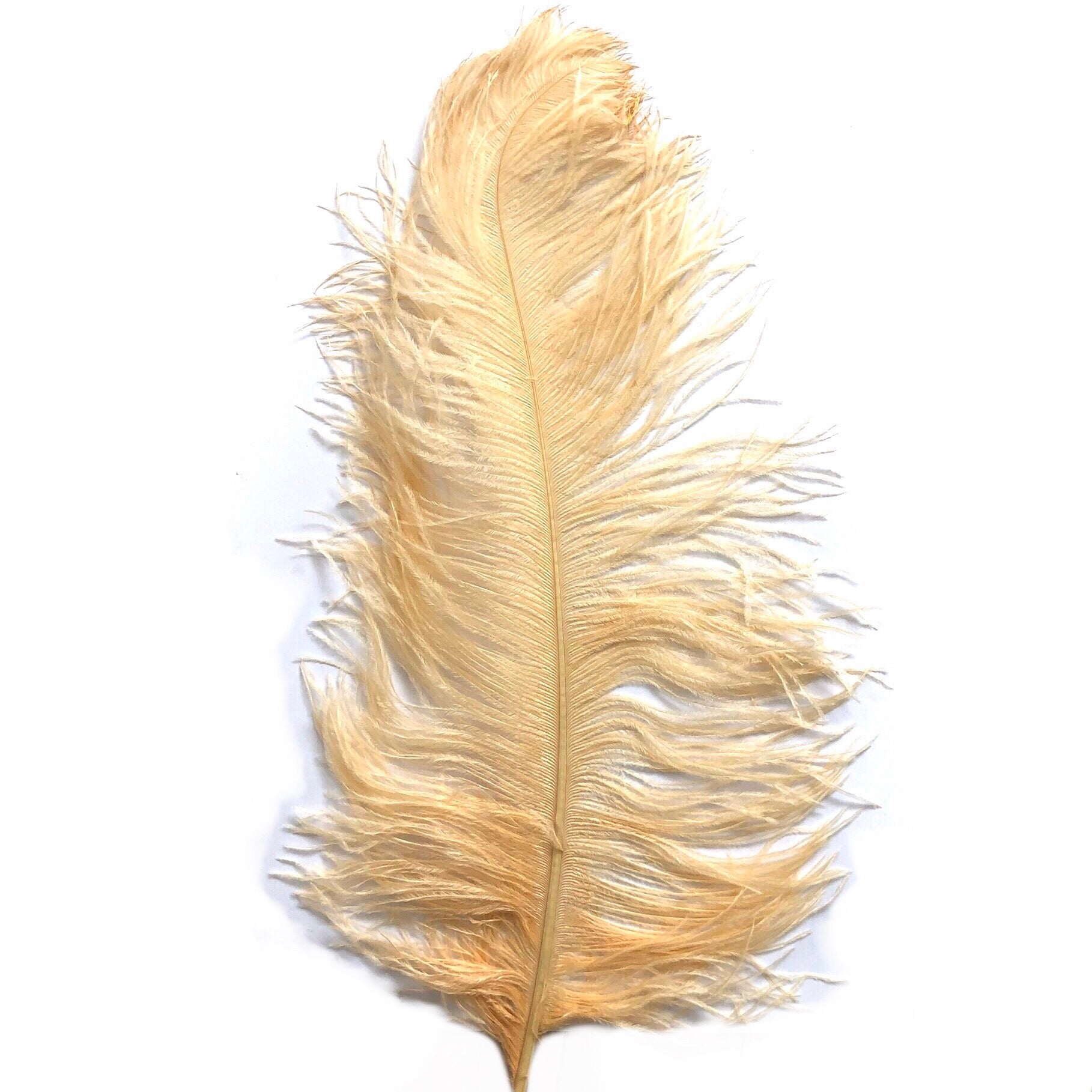 Ostrich Drab Feather Plumes 27-32cm (11-13") - Soft Apricot