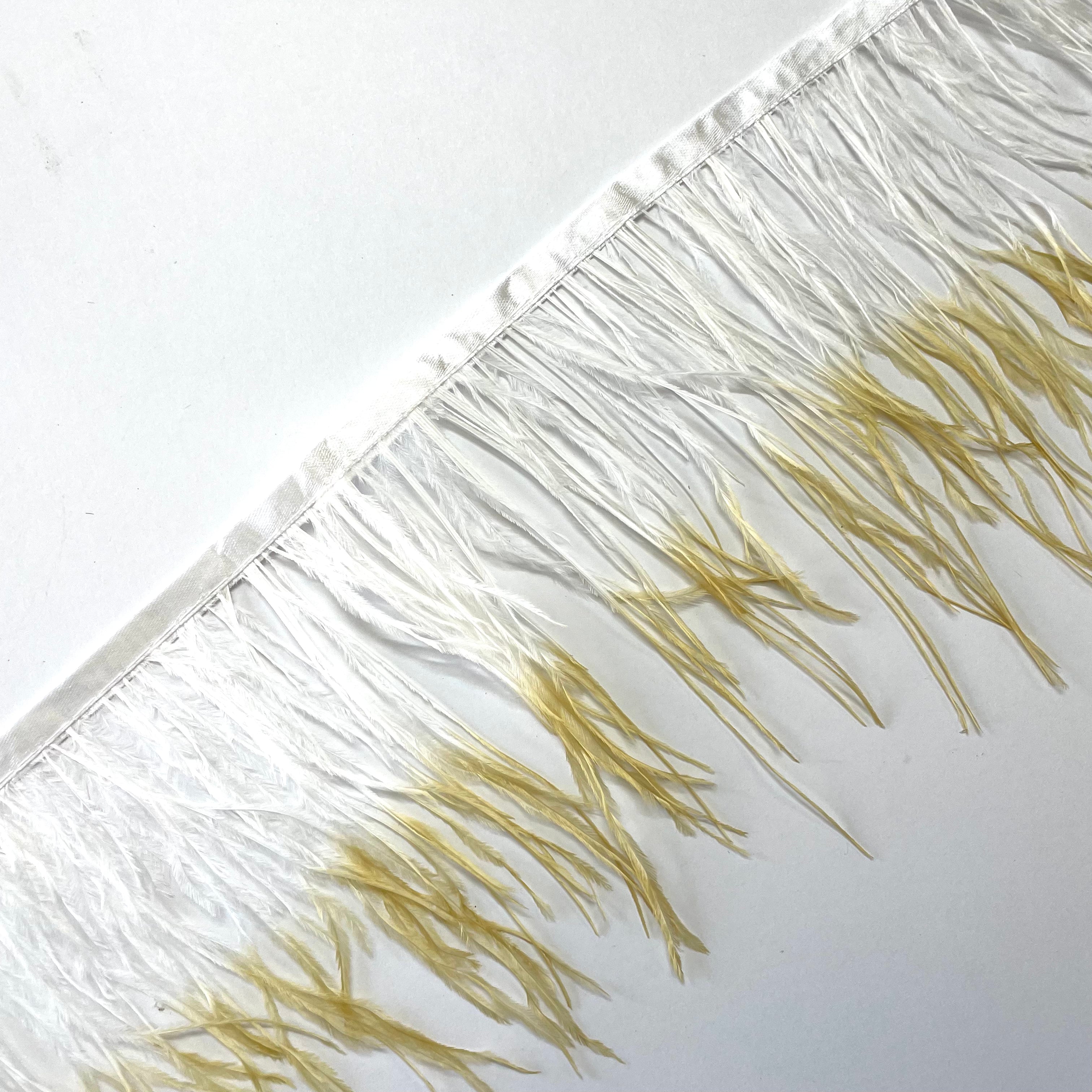 Ostrich Feathers Strung per 10cm - Two Tone White / Latte