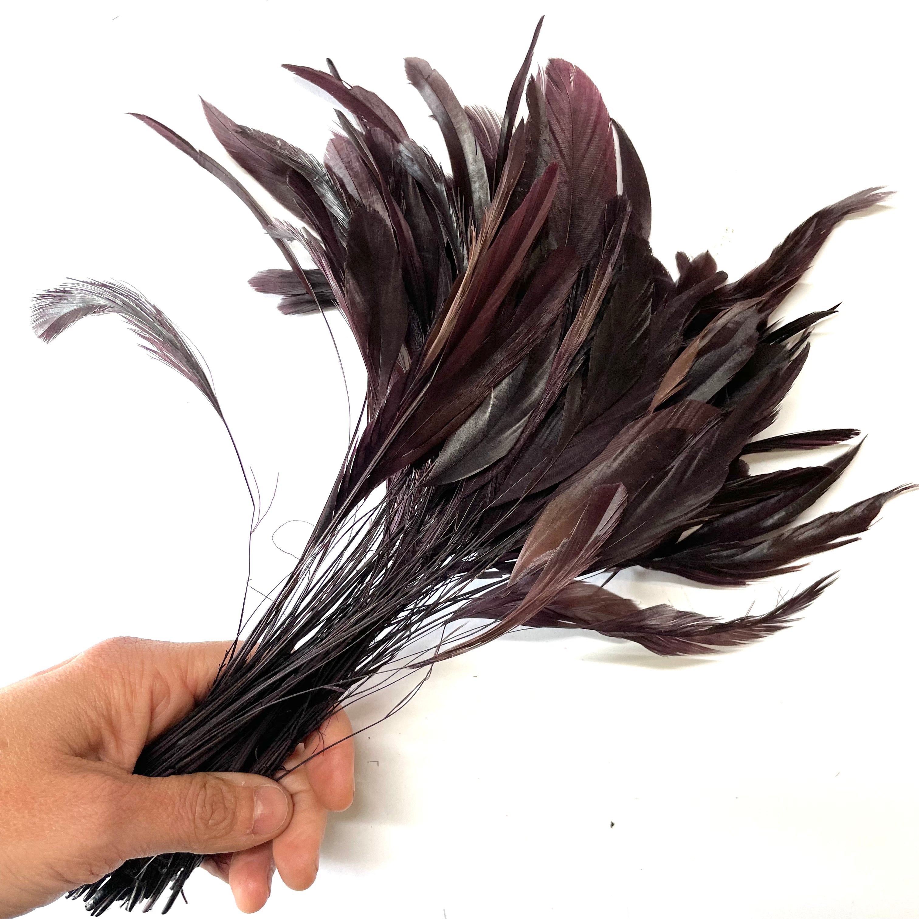Stripped Coque Tail Feathers 10 grams - Chocolate Brown