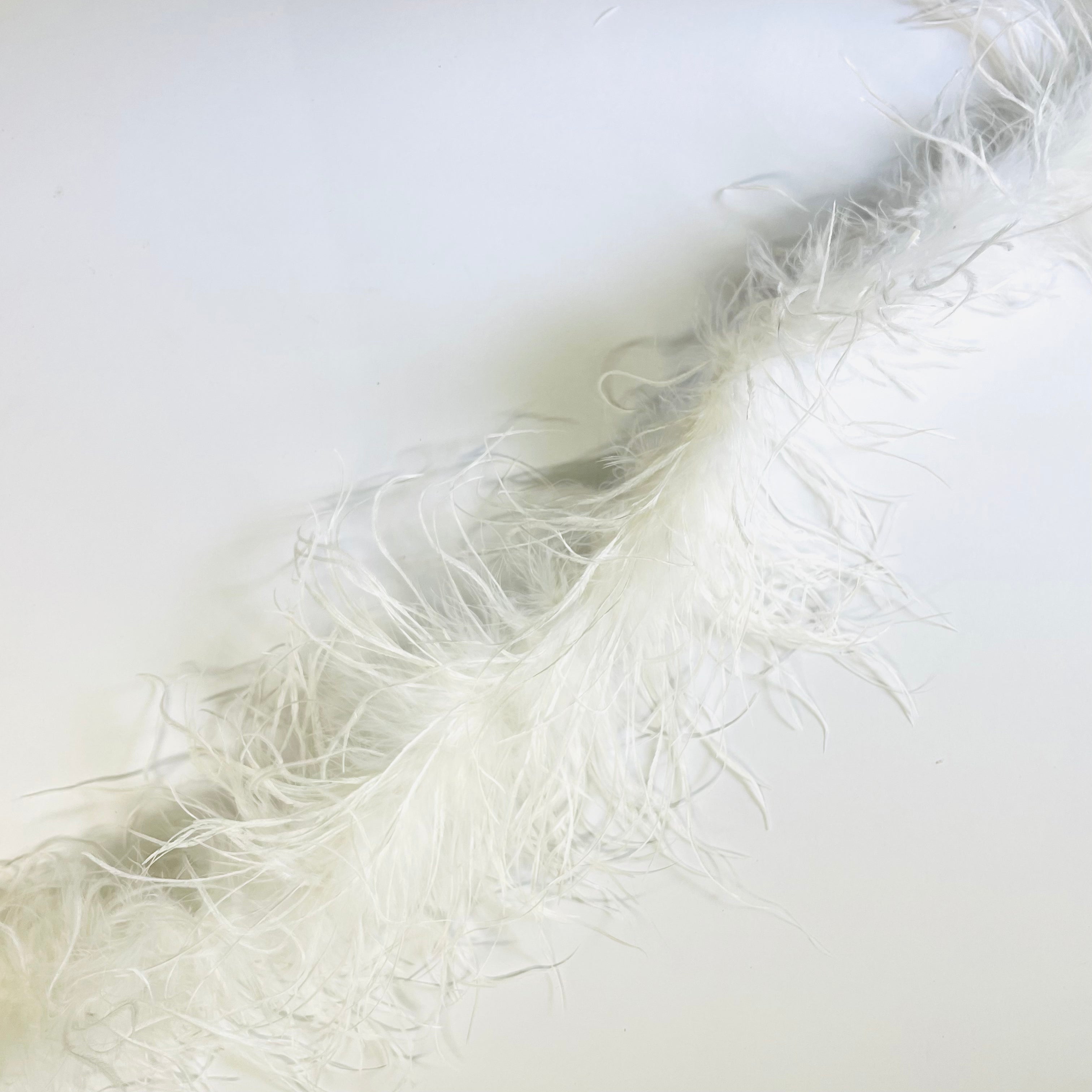 Ostrich & Marabou Feather Boa Trim per 10cm - White