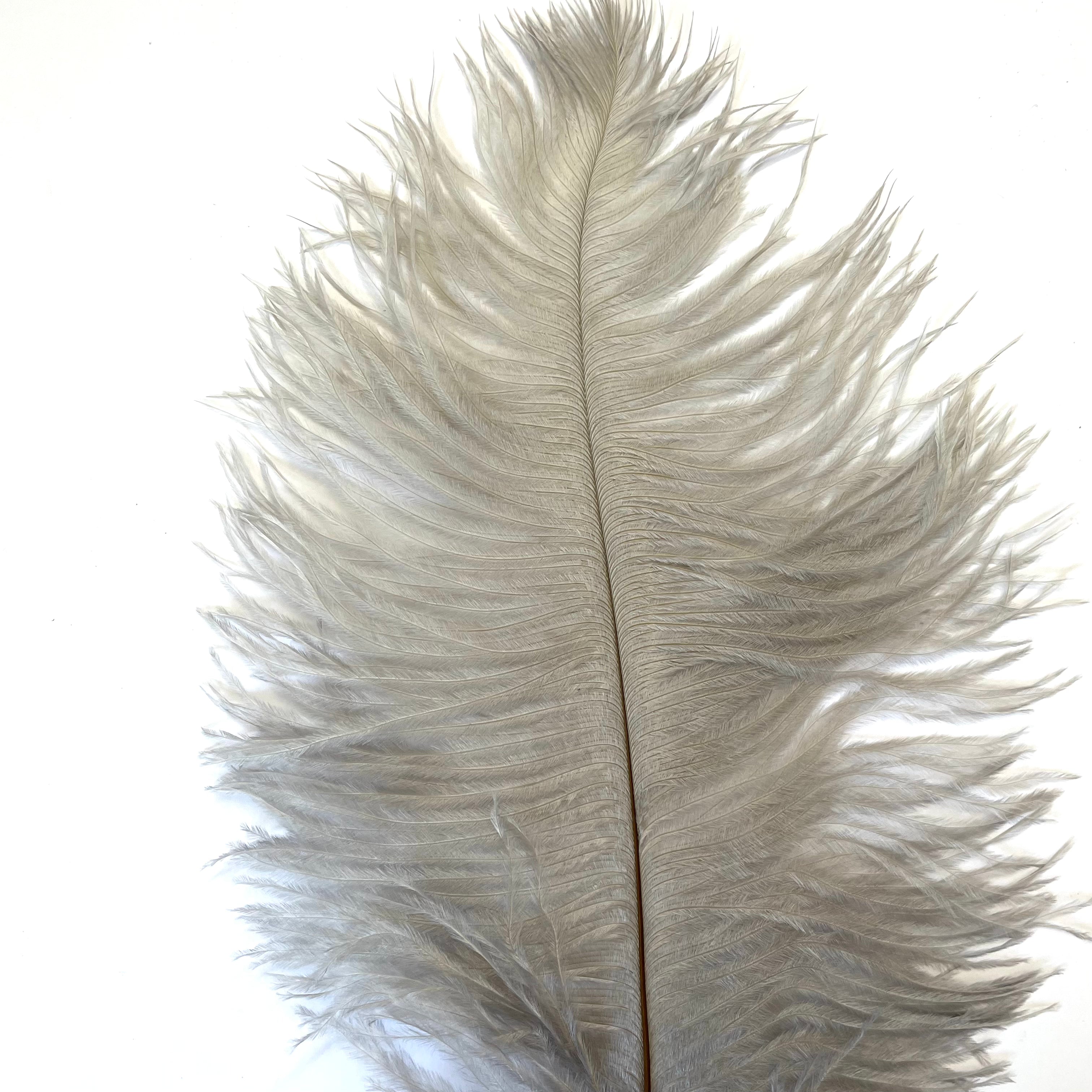 Ostrich Feather Drab 37-42cm - Grey