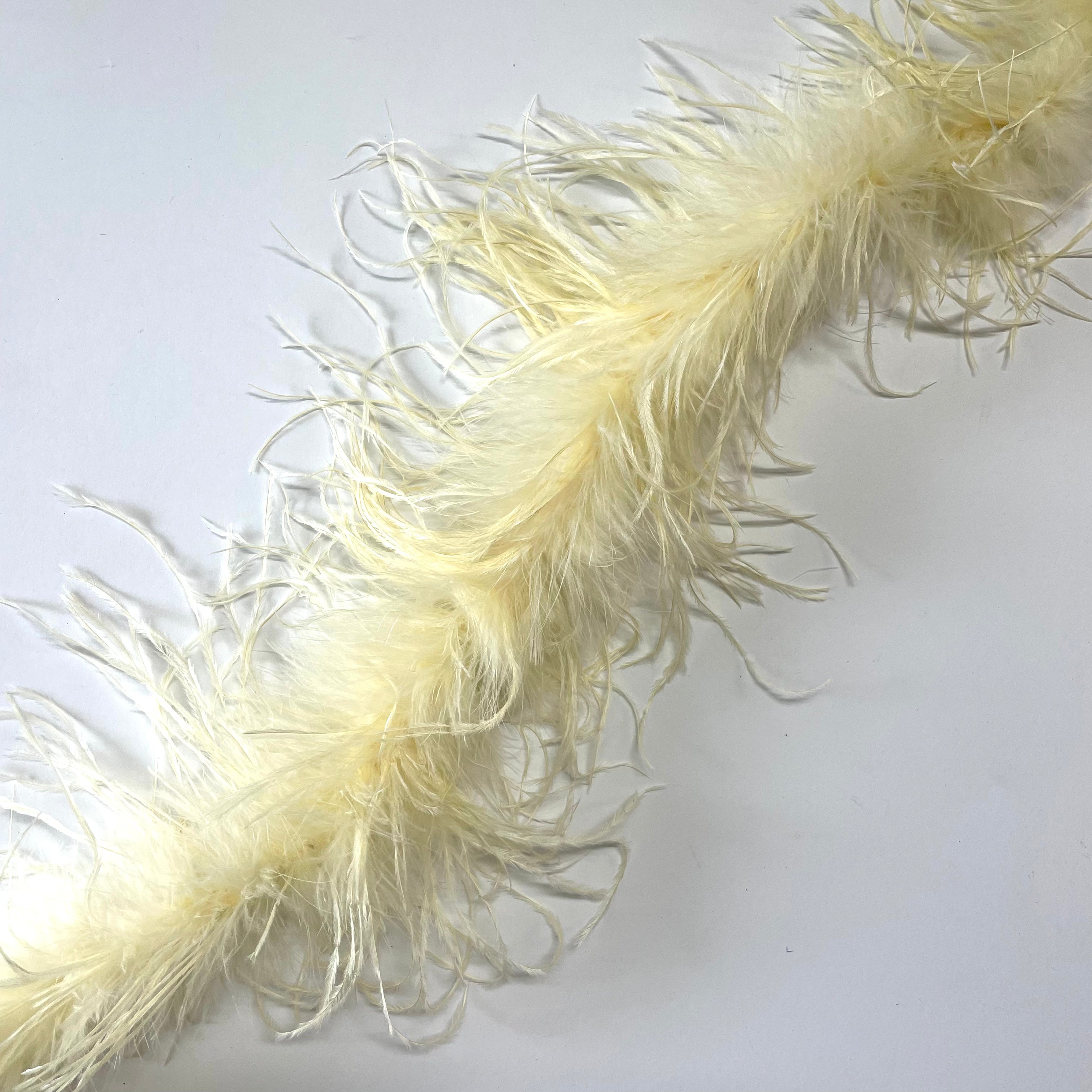 Ostrich & Marabou Feather Boa Trim per 10cm - Cream