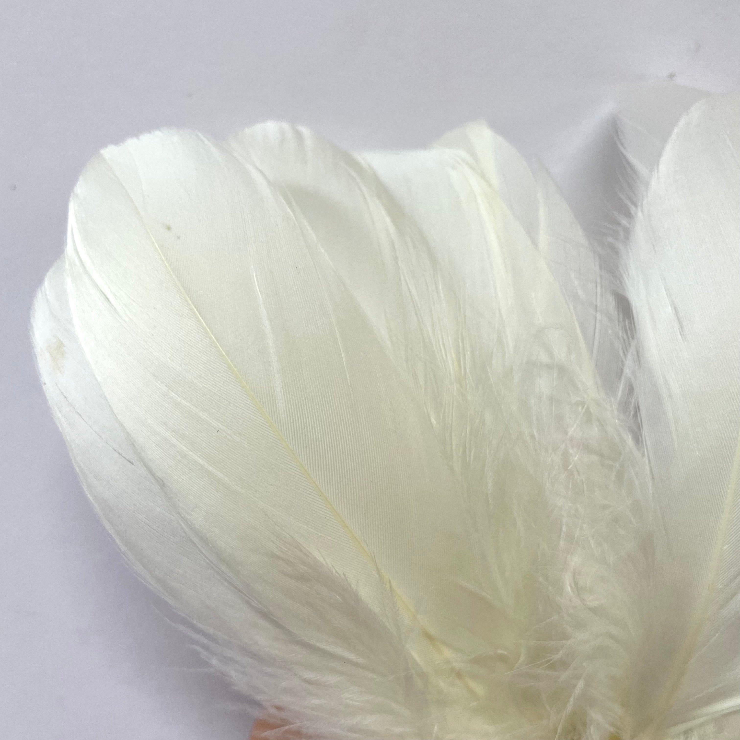 Goose Nagoire Feathers 10 grams - Sorbet