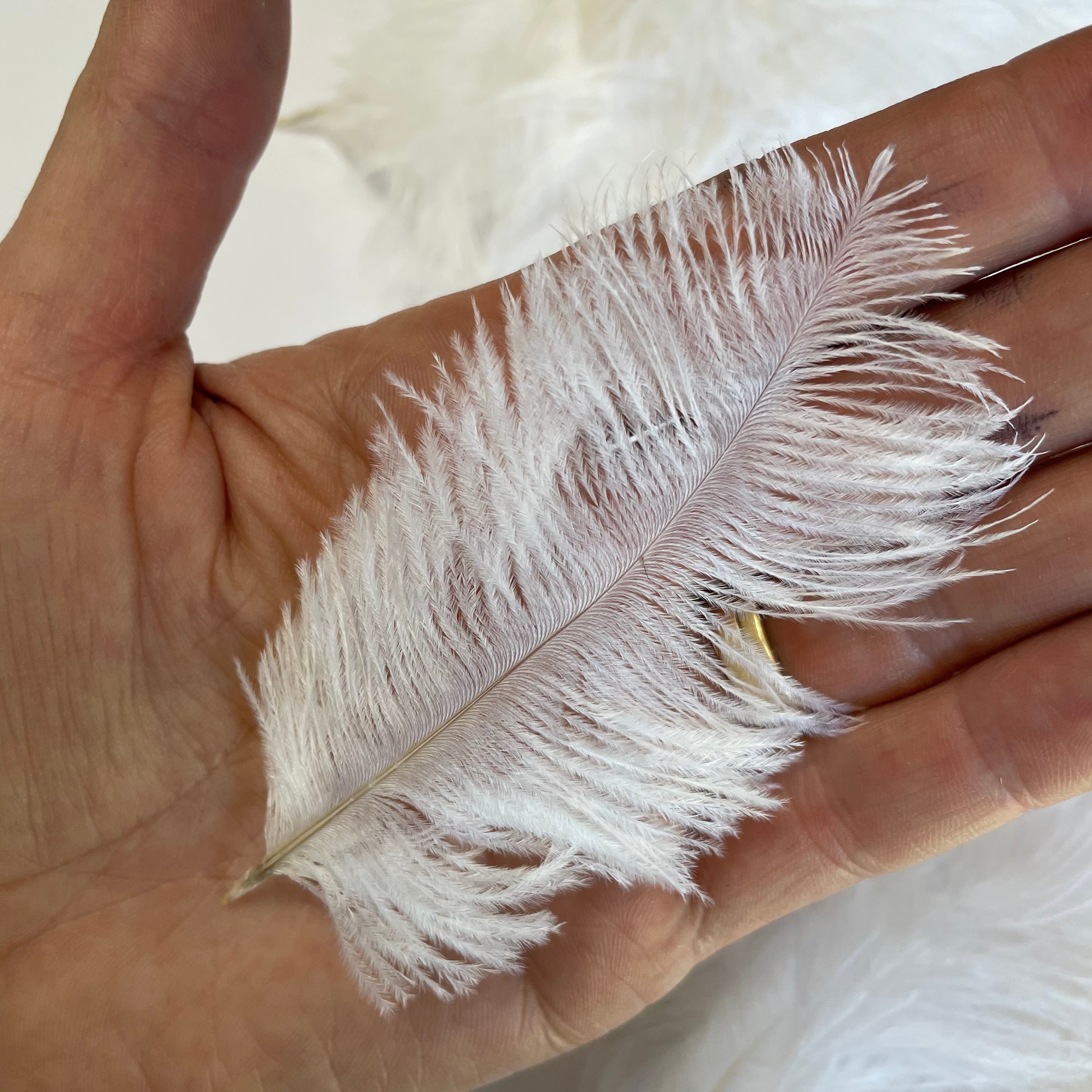 Ostrich Feather Wedding Confetti Mini Drabs 10 grams - White