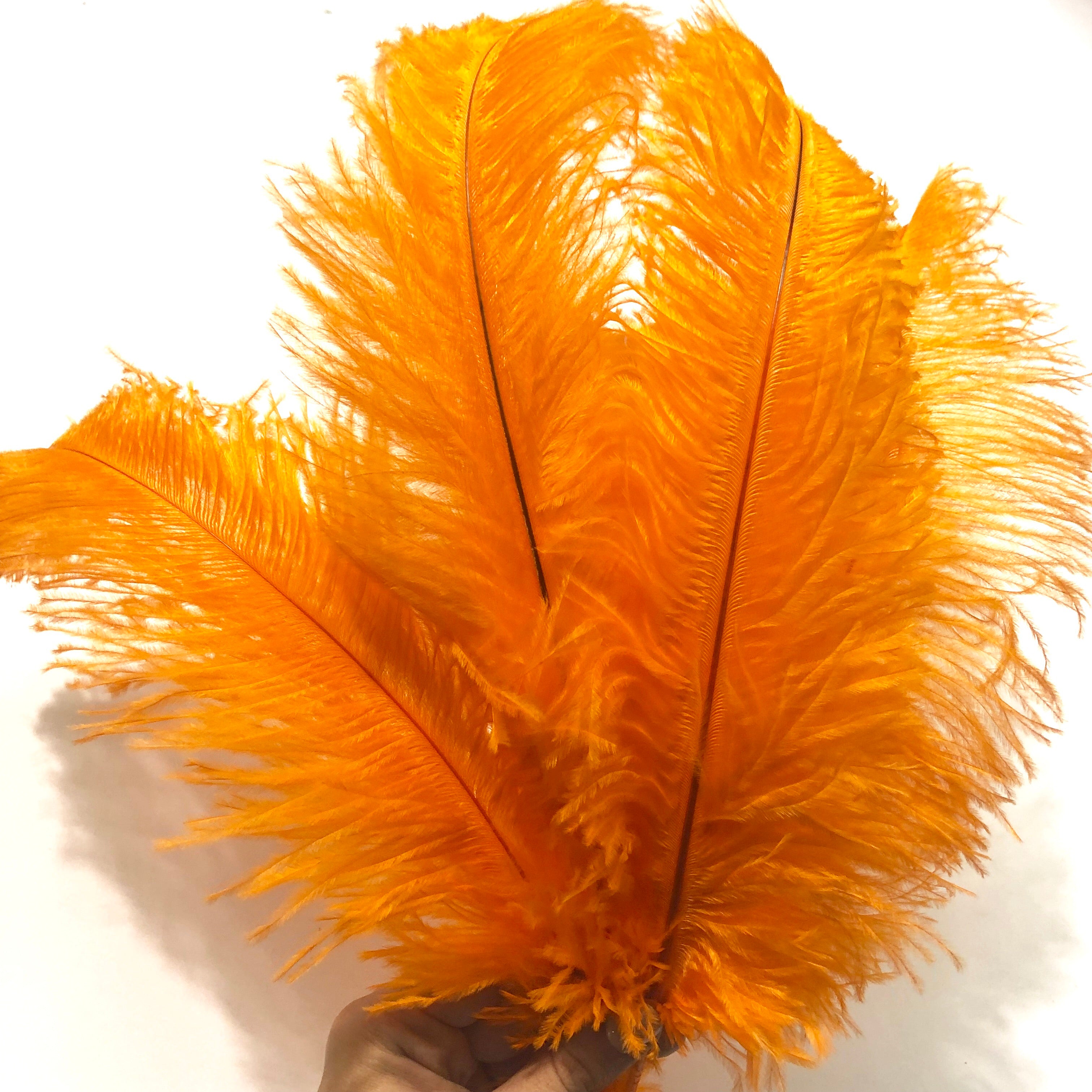 Ostrich Blondine Feather 25-40cm x 5 pcs - Orange ((SECONDS))