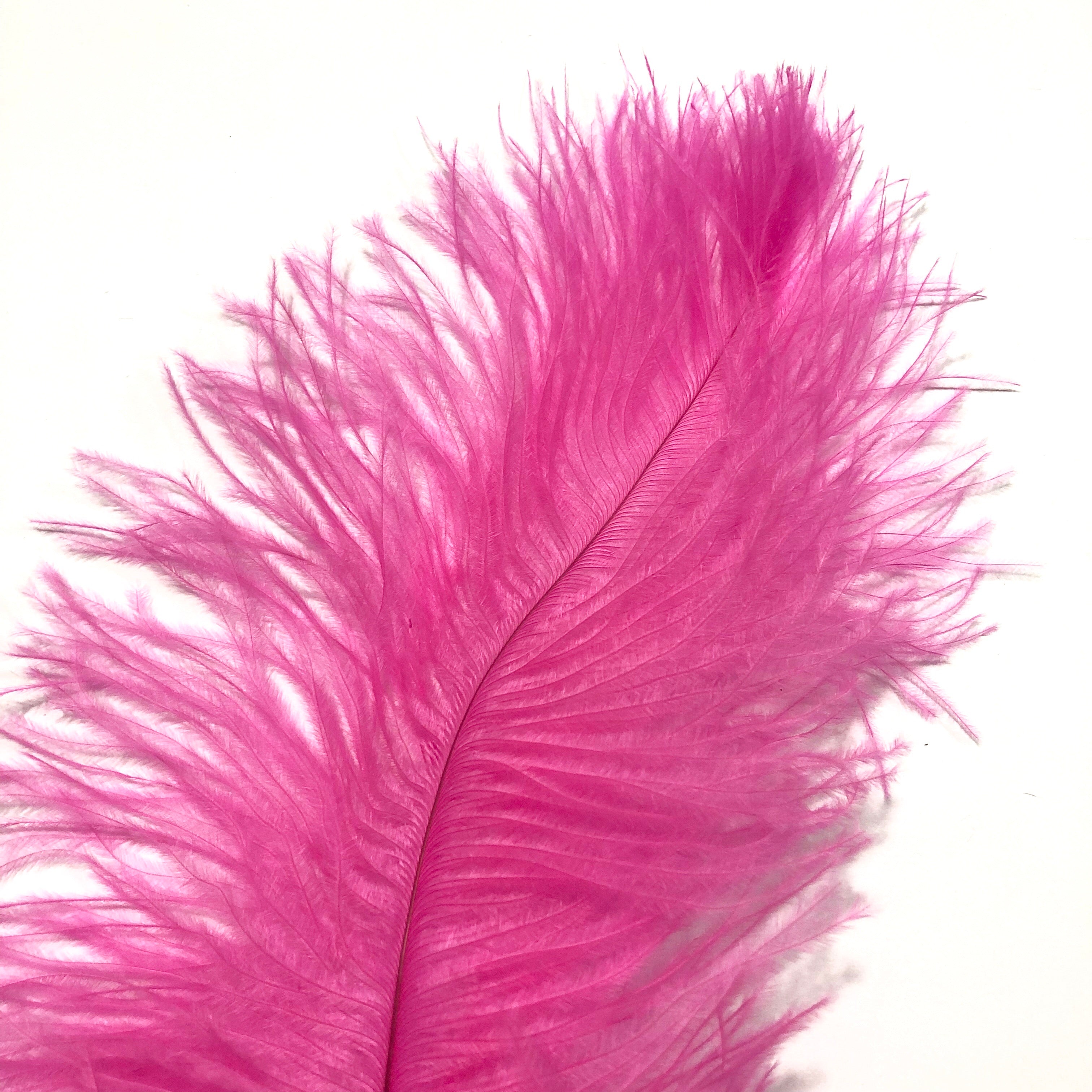 Ostrich Blondine Feather 25-40cm x 5 pcs - Hot Pink ((SECONDS))