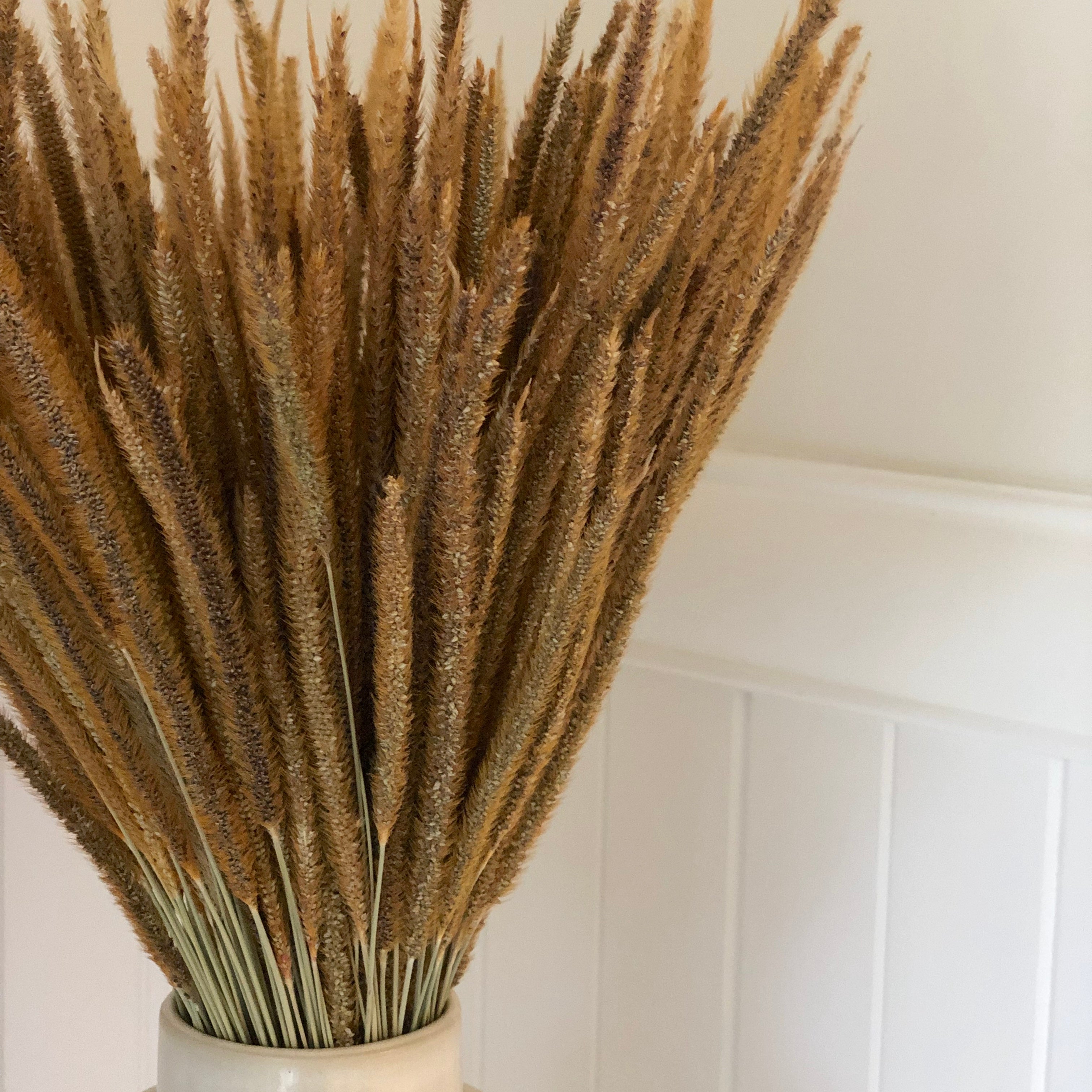 Dried Kirin Grass Stems x 10 pcs - Natural