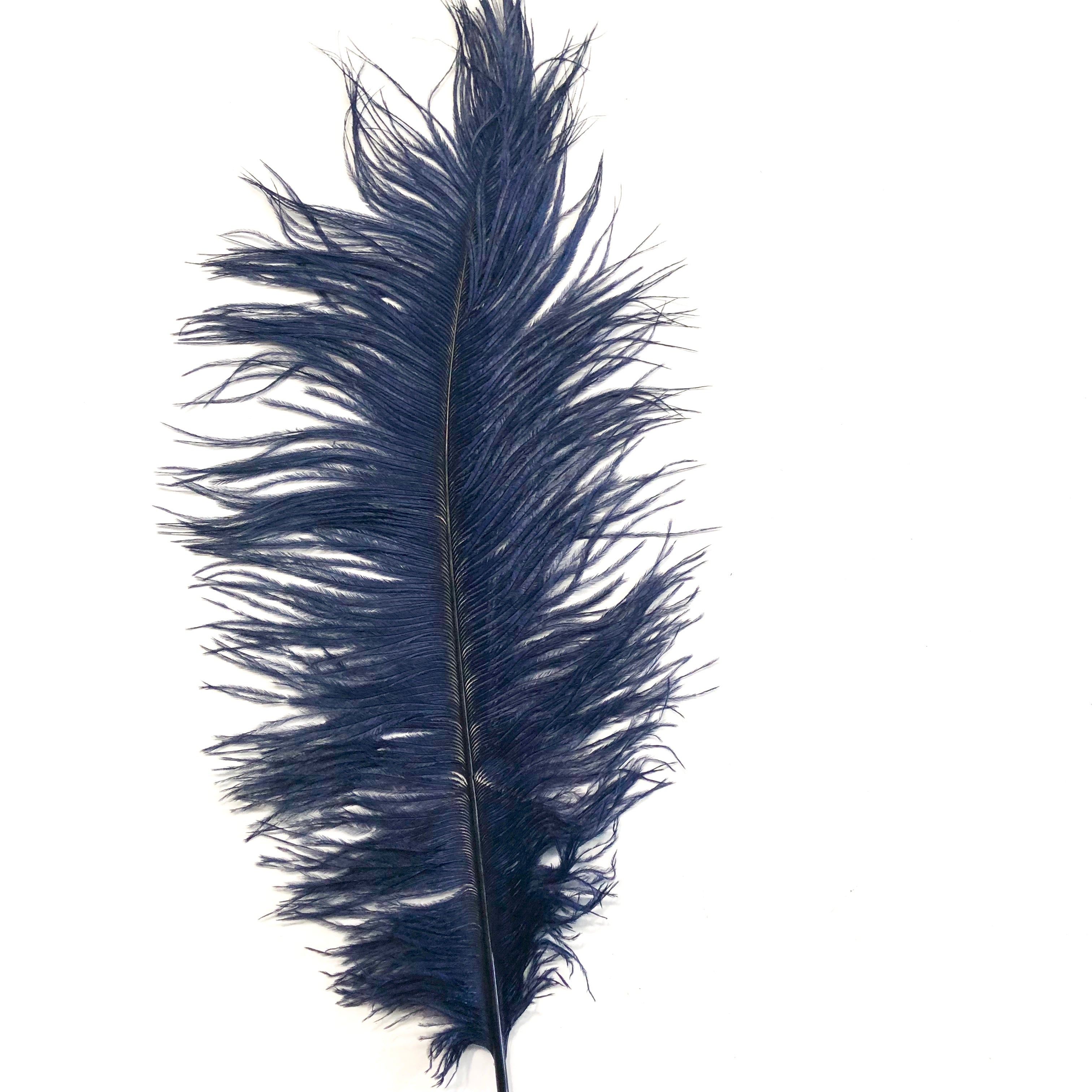 Ostrich Feather Drab 37-42cm x 5 pcs - Navy Blue ((SECONDS))