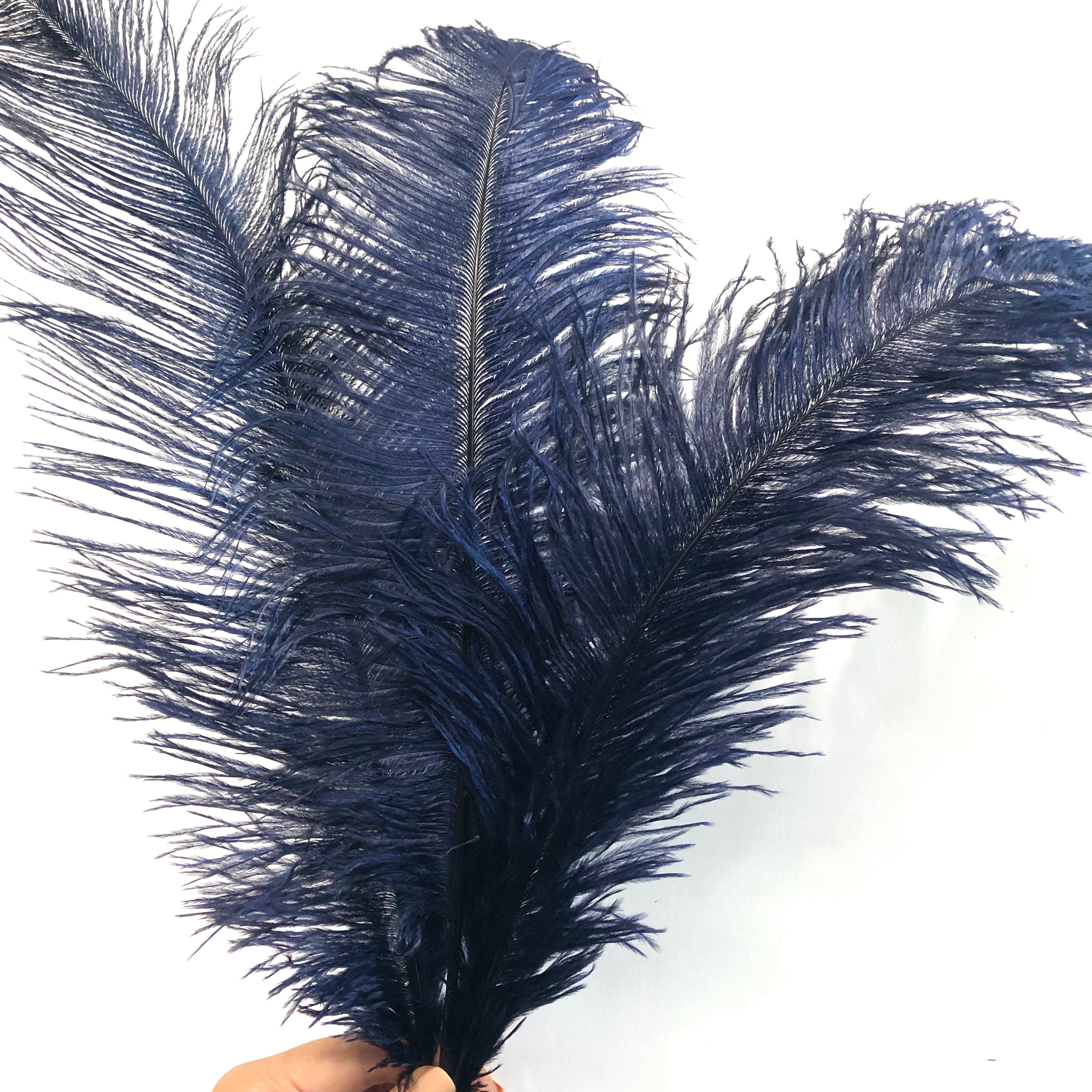 Ostrich Feather Drab 37-42cm x 5 pcs - Navy Blue ((SECONDS))