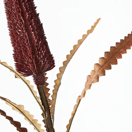 Artificial Australian Native Premium Banksia Pencil Praemorsa Flower Stem - Burgundy (Style 5)