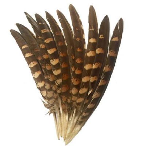 Natural Amherst Pheasant Wing Feathers x 10 pcs ((SECONDS))