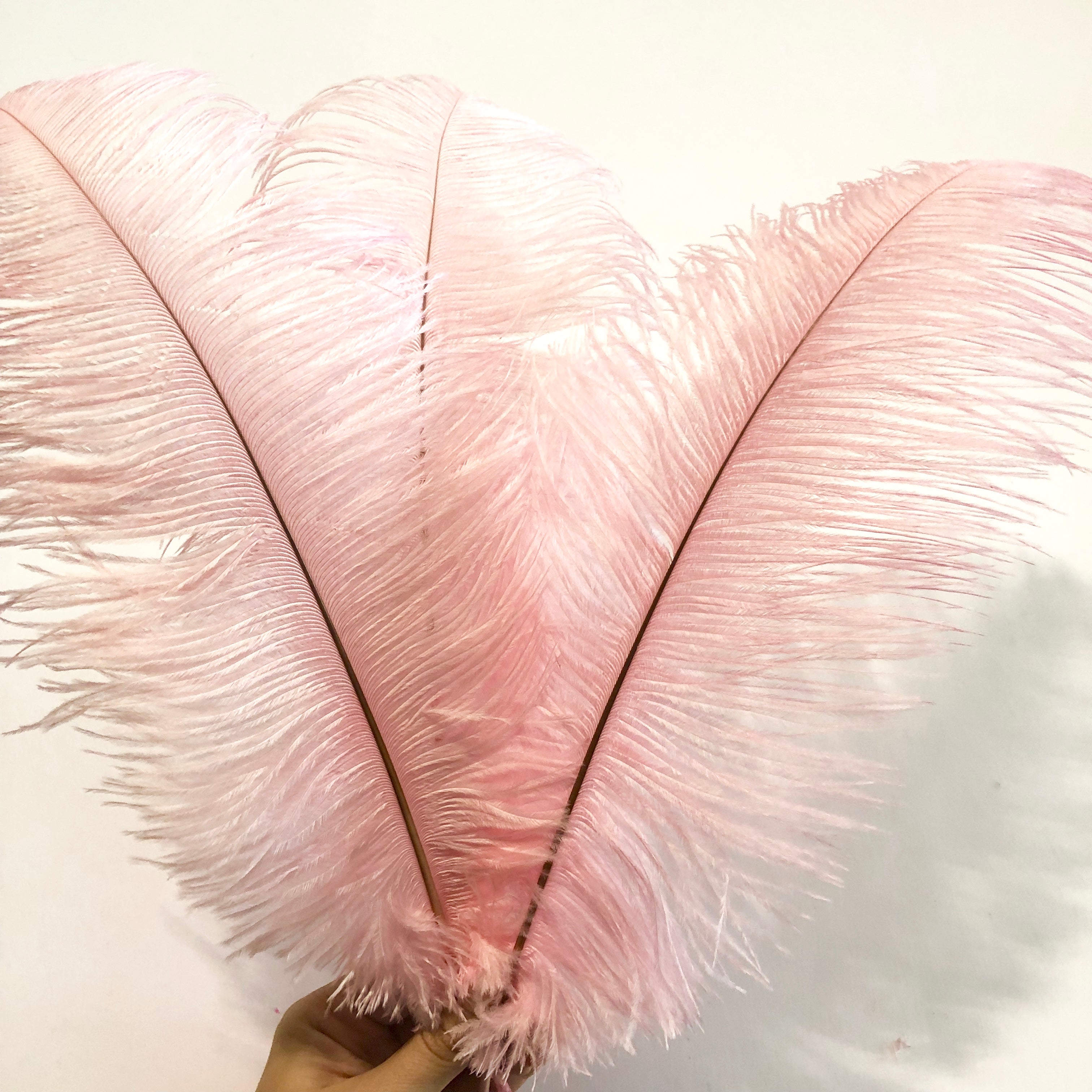Ostrich Feather Drab 37-42cm - Pink