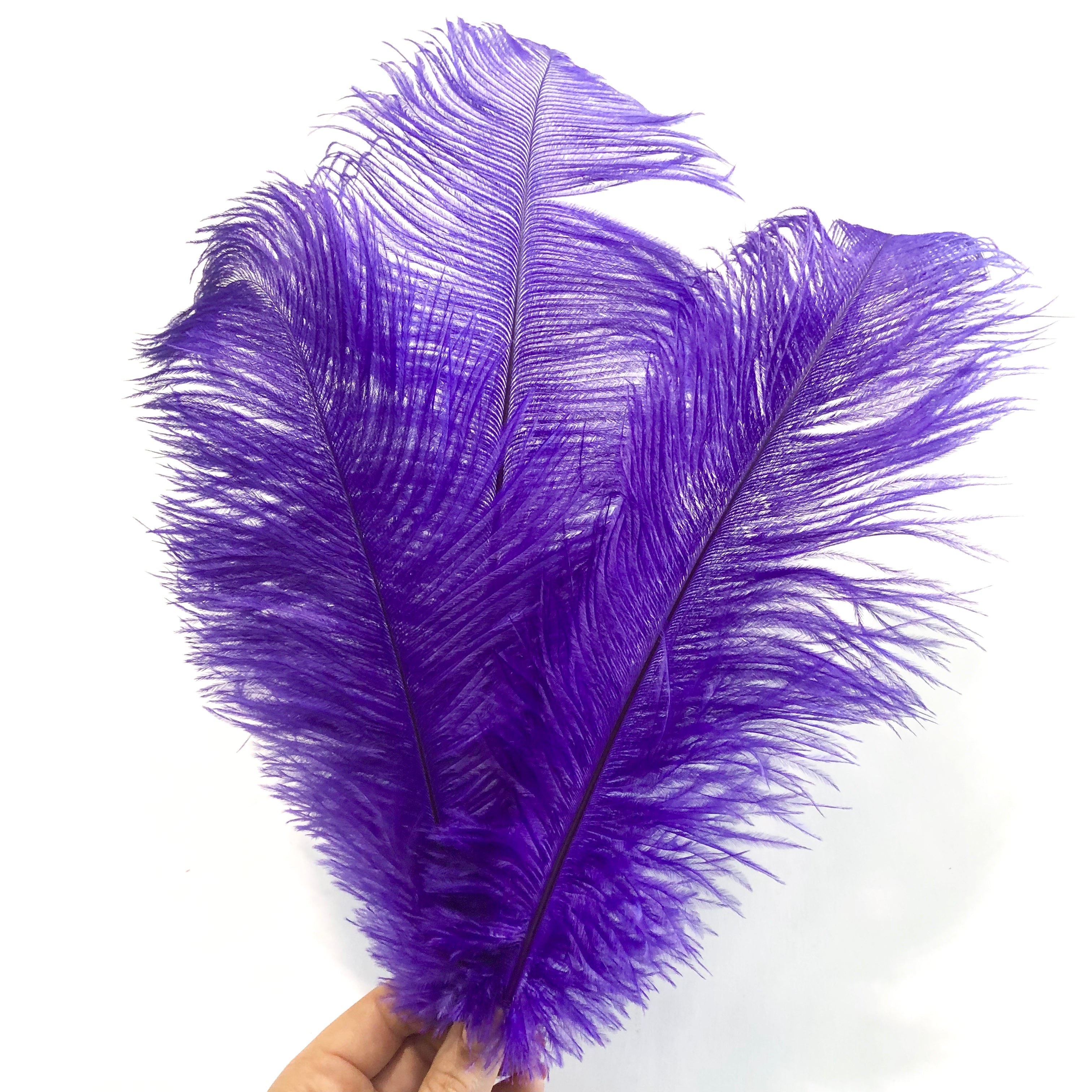 Ostrich Drab Feather 27-32cm - Purple *Seconds* Pack of 5