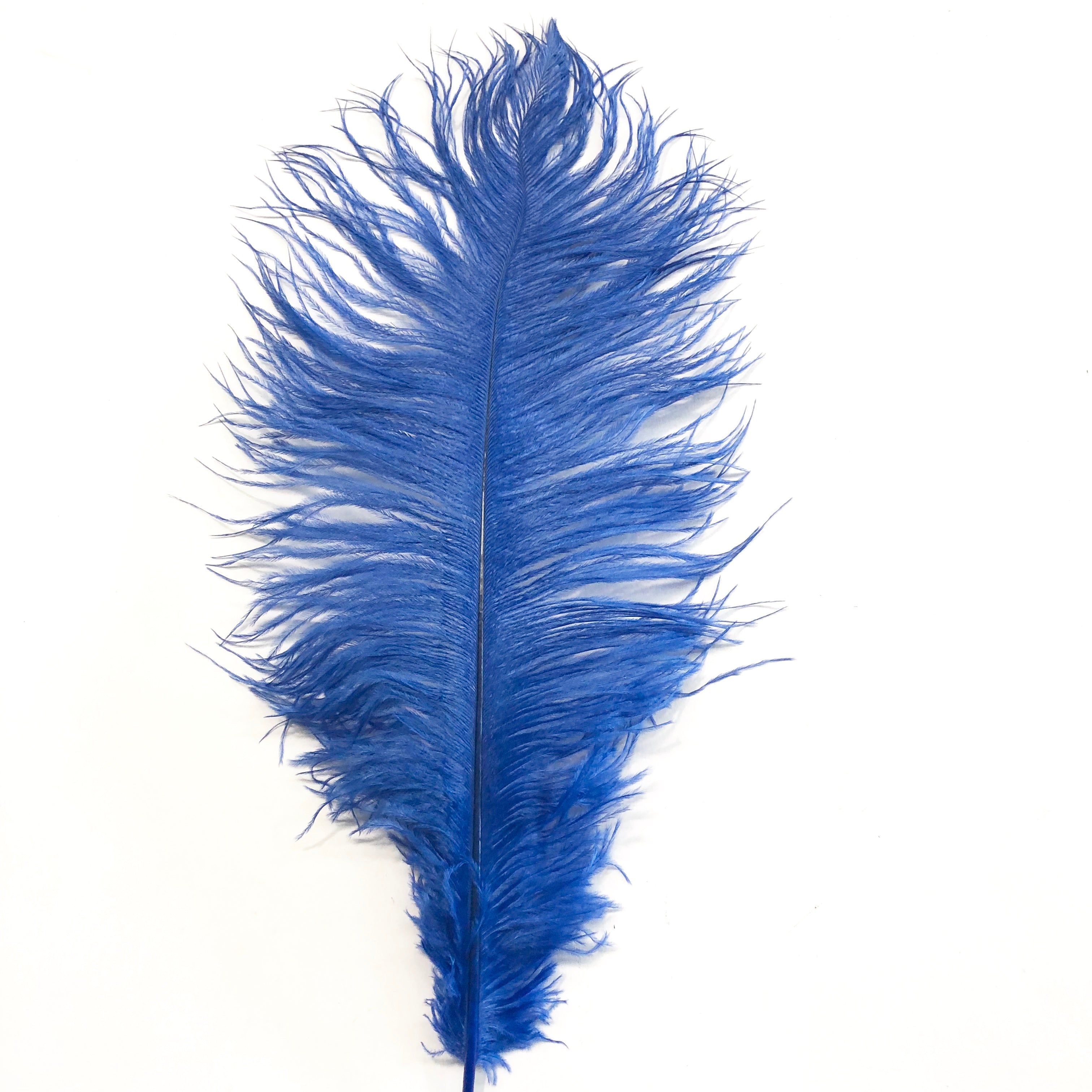 Ostrich Drab Feather 27-32cm - Royal Blue