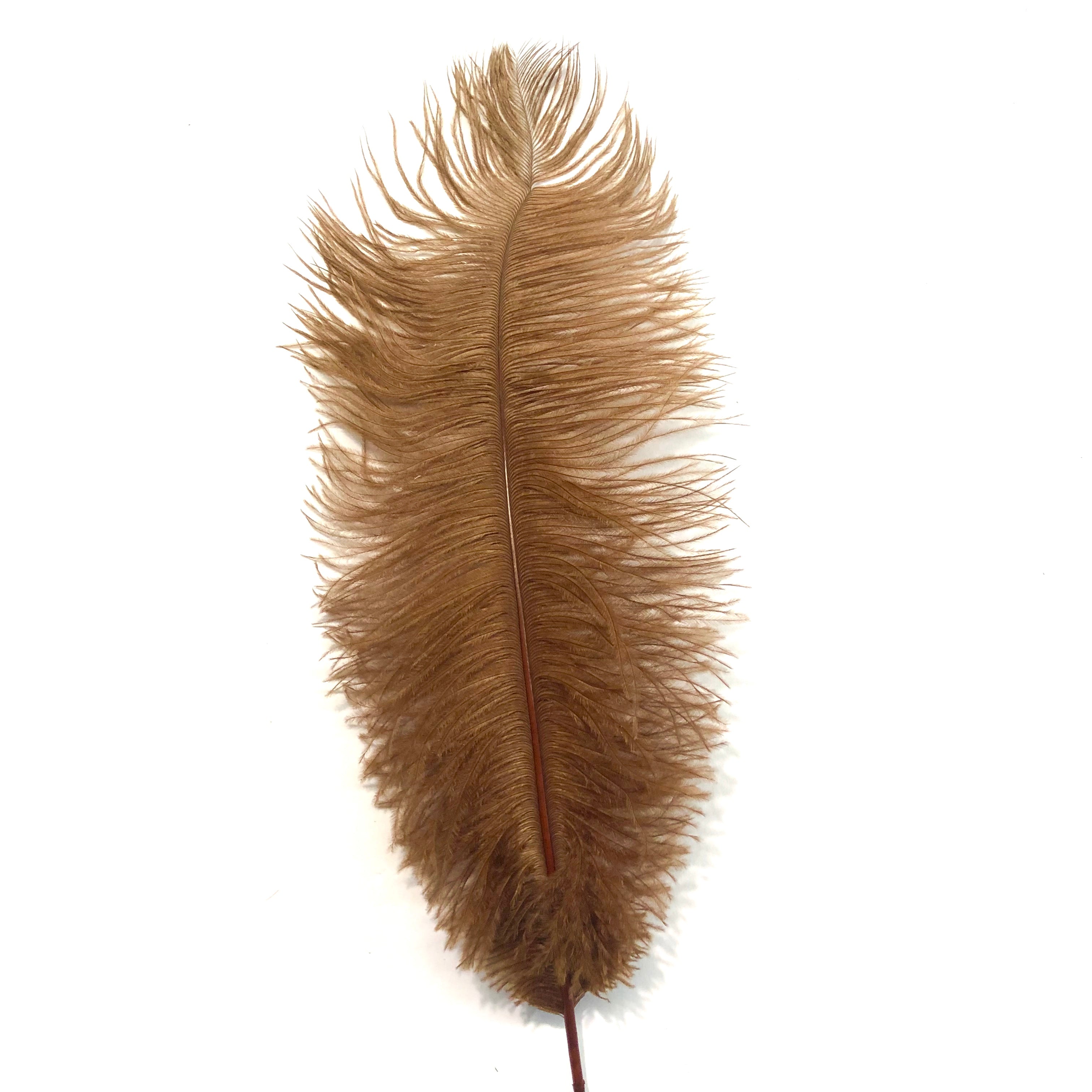 Ostrich Feather Drab 37-42cm x 5 pcs - Rust Brown ((SECONDS))