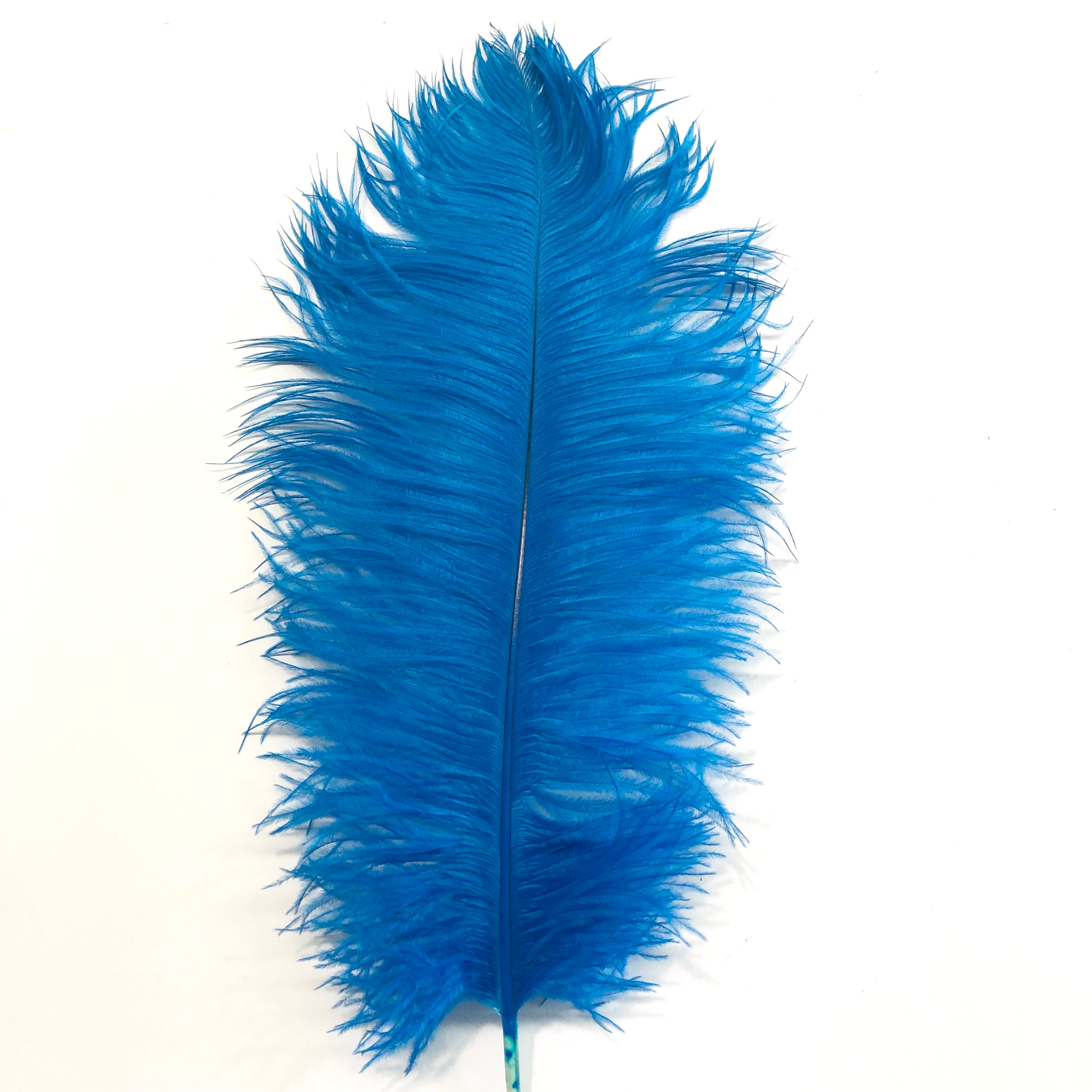 Ostrich Feather Drab 37-42cm - Turquoise